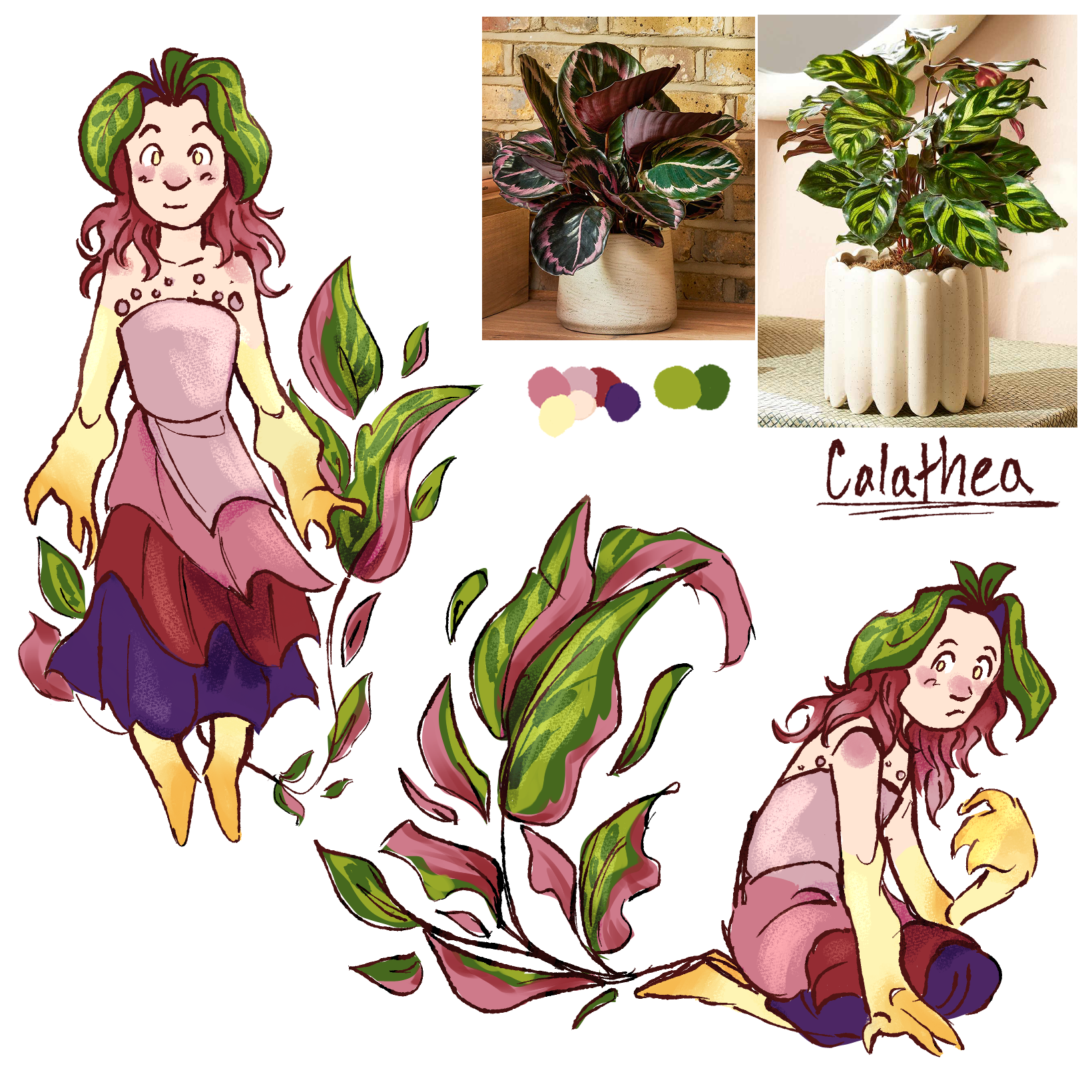 Plant-sonas - Calathea.png