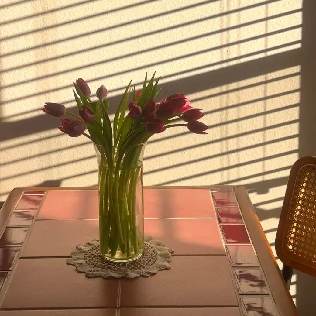 How to Prepare Your Space for Virtual Therapy: Simple Tips for a Comfortable Session