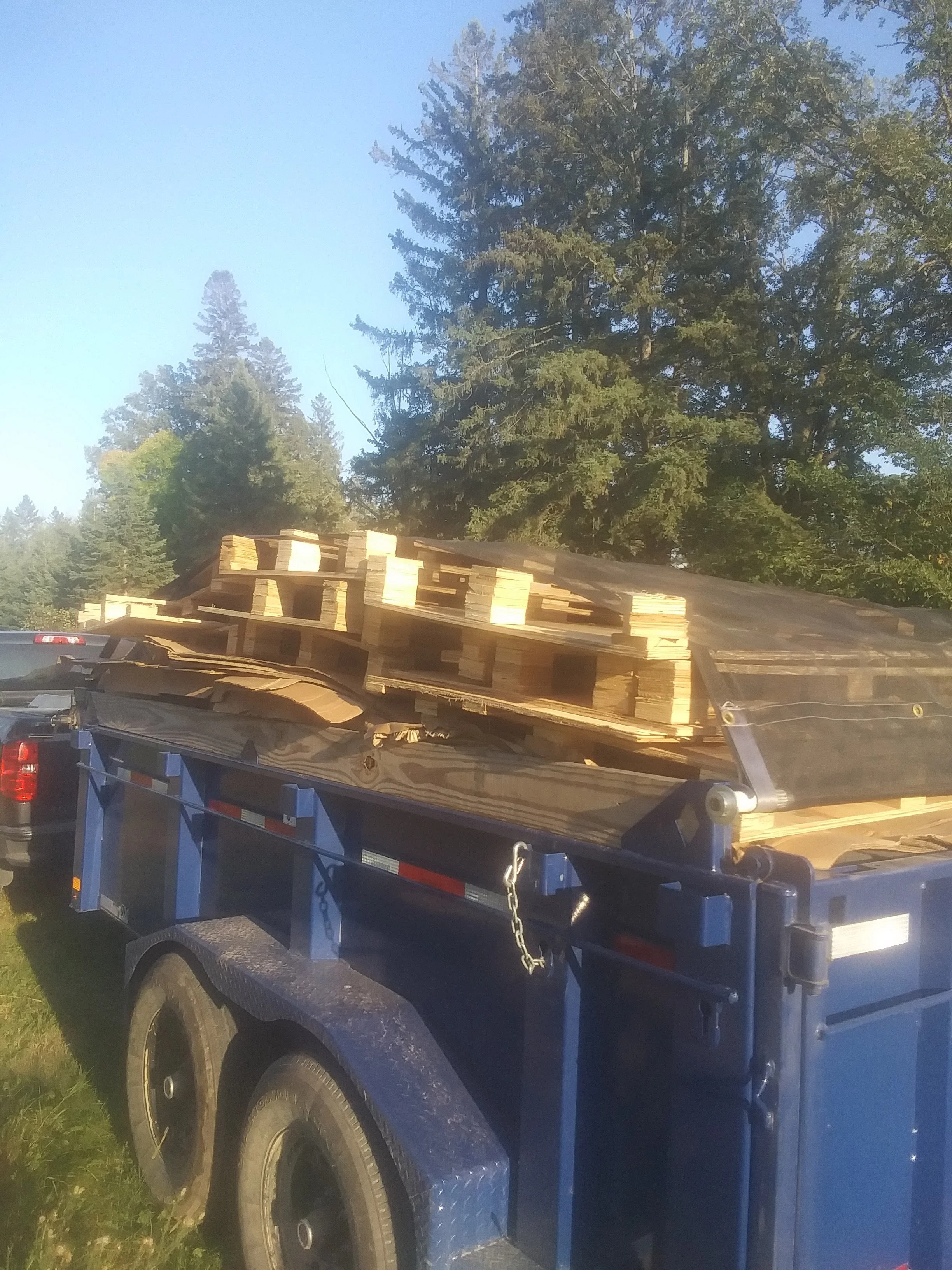 A flatbed trailer carrying stacks of wooden planks parked on grass with trees in the background.