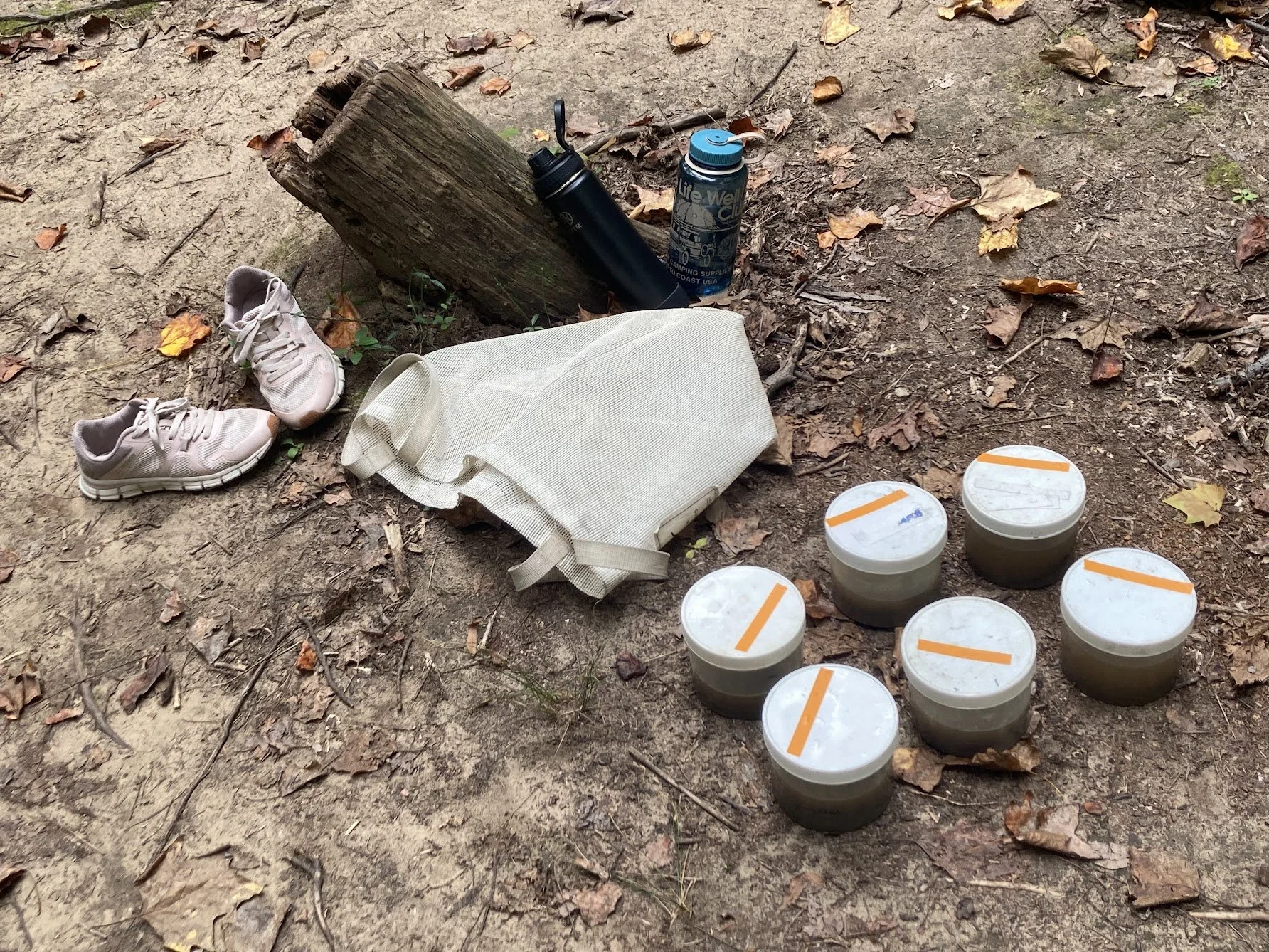 Field Sampling