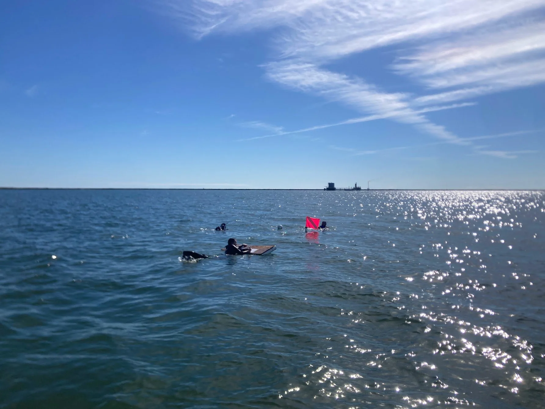 Artificial Reef Bioacoustics