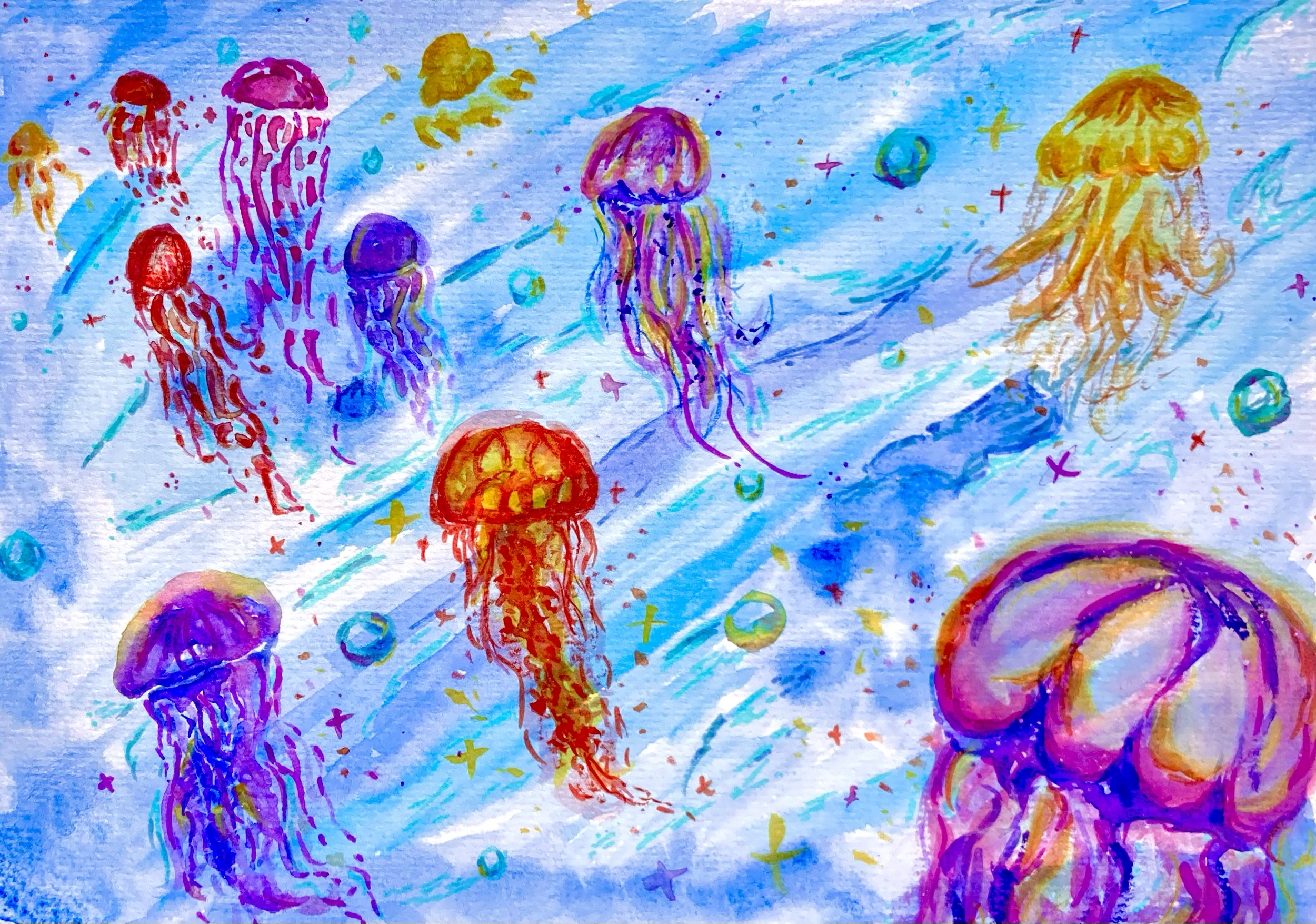 Jellyfish