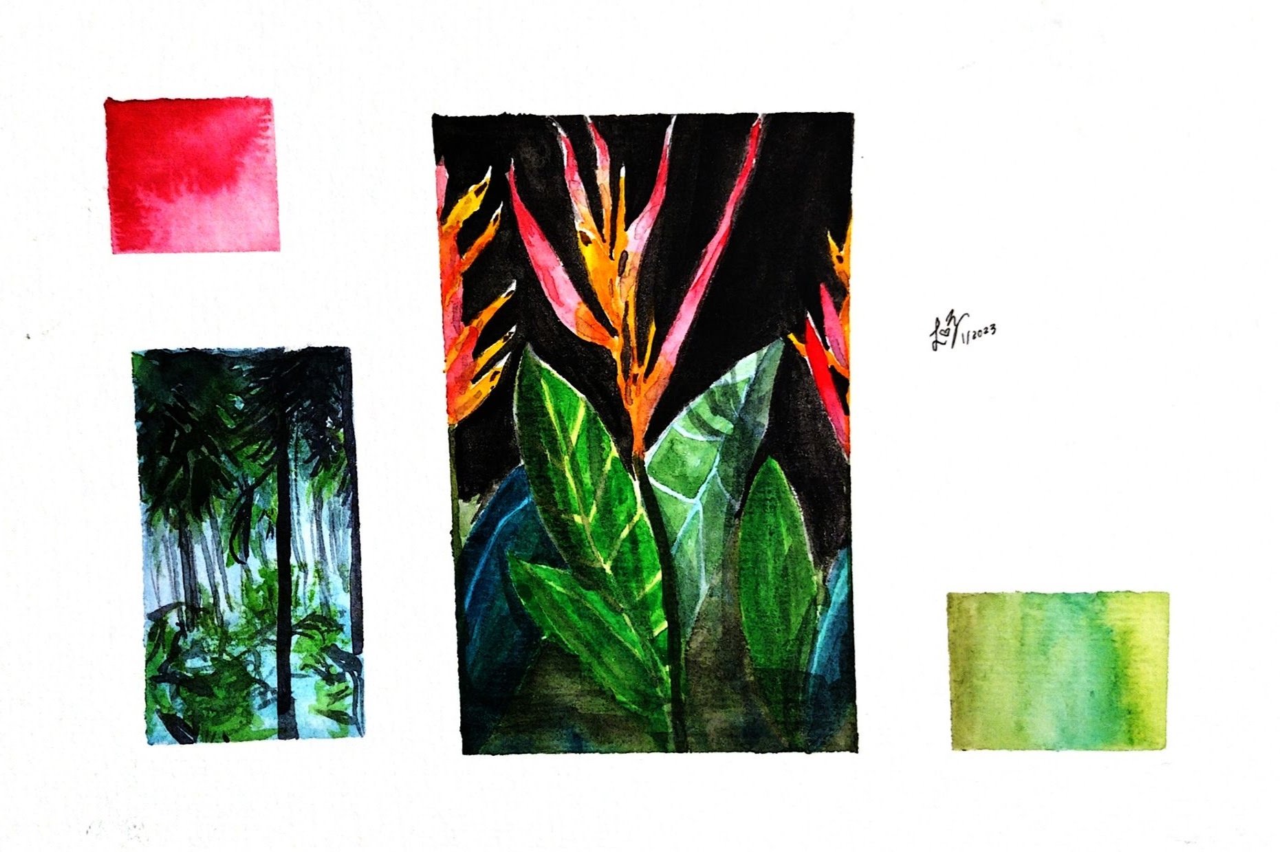 Tropical