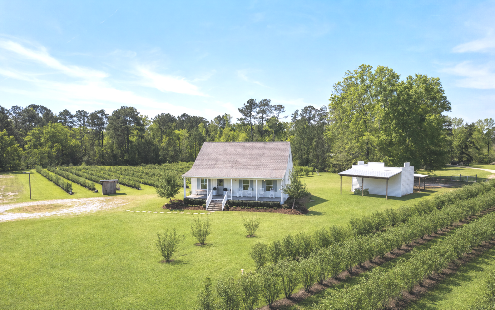 farm cottage wedding venue surrounded by blueberry bushes