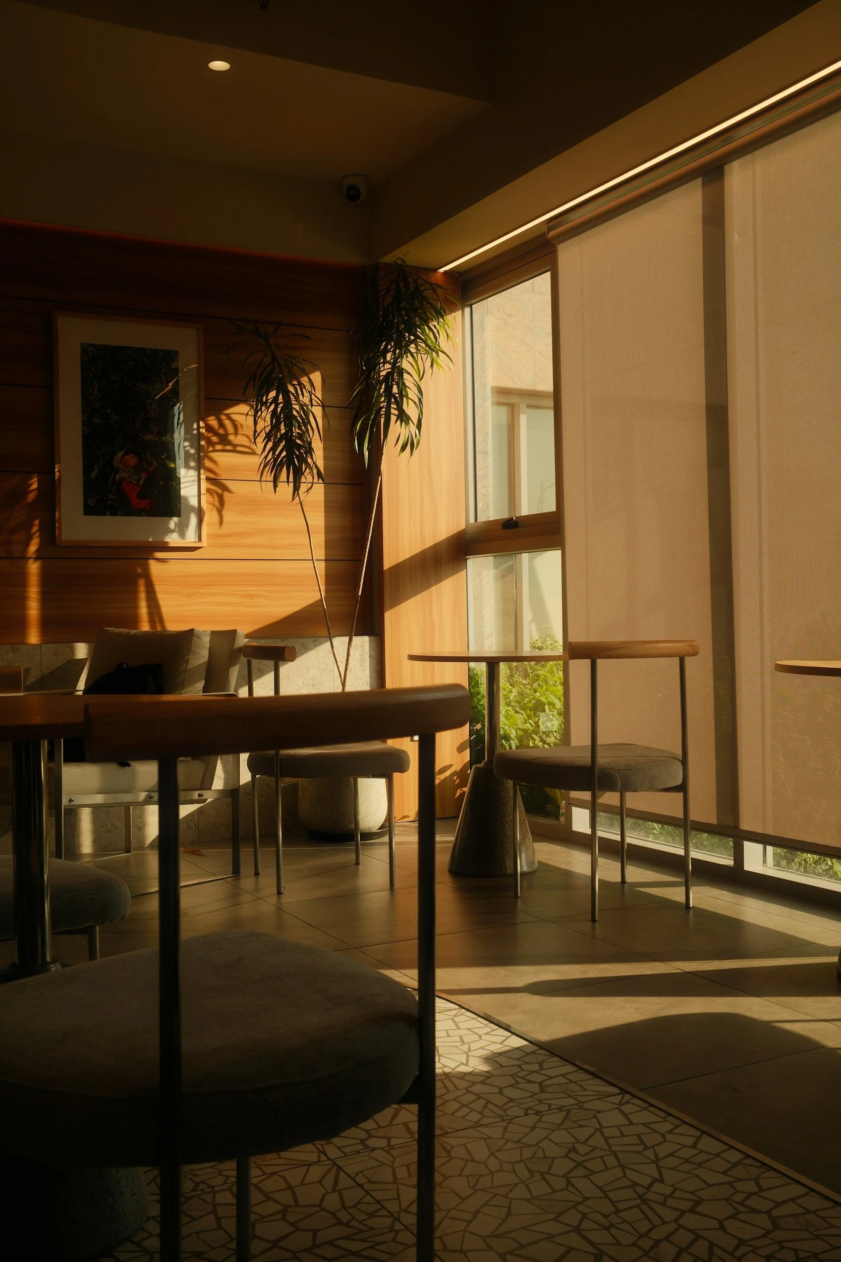 Sunlit interior of a cafe or lounge with wooden walls, plants, framed artwork, and large windows with roller shades.