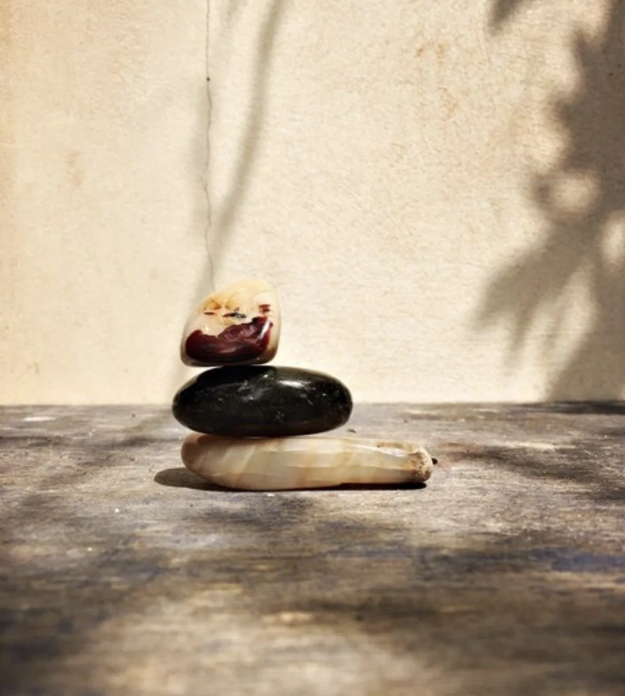 Setting Up a Meditation Practice: June 21 · 1-3 PM