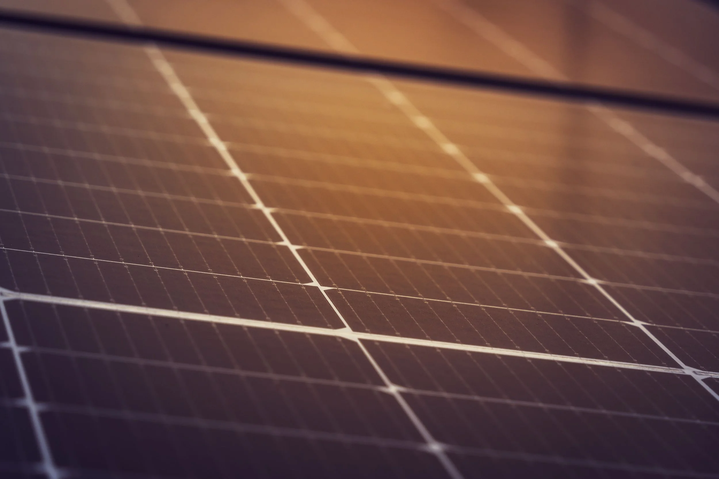 Close-up of blue solar panels with a brown wall in the background.