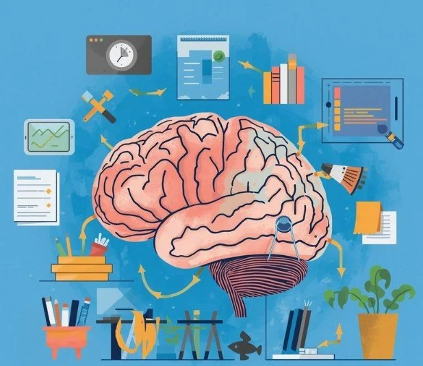 Illustration of a human brain with various icons around it representing thinking, learning, and productivity activities, such as charts, documents, a clock, books, and plants.