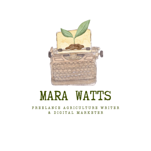 A vintage typewriter with two green leaves growing from the paper roll, symbolizing growth or new ideas.