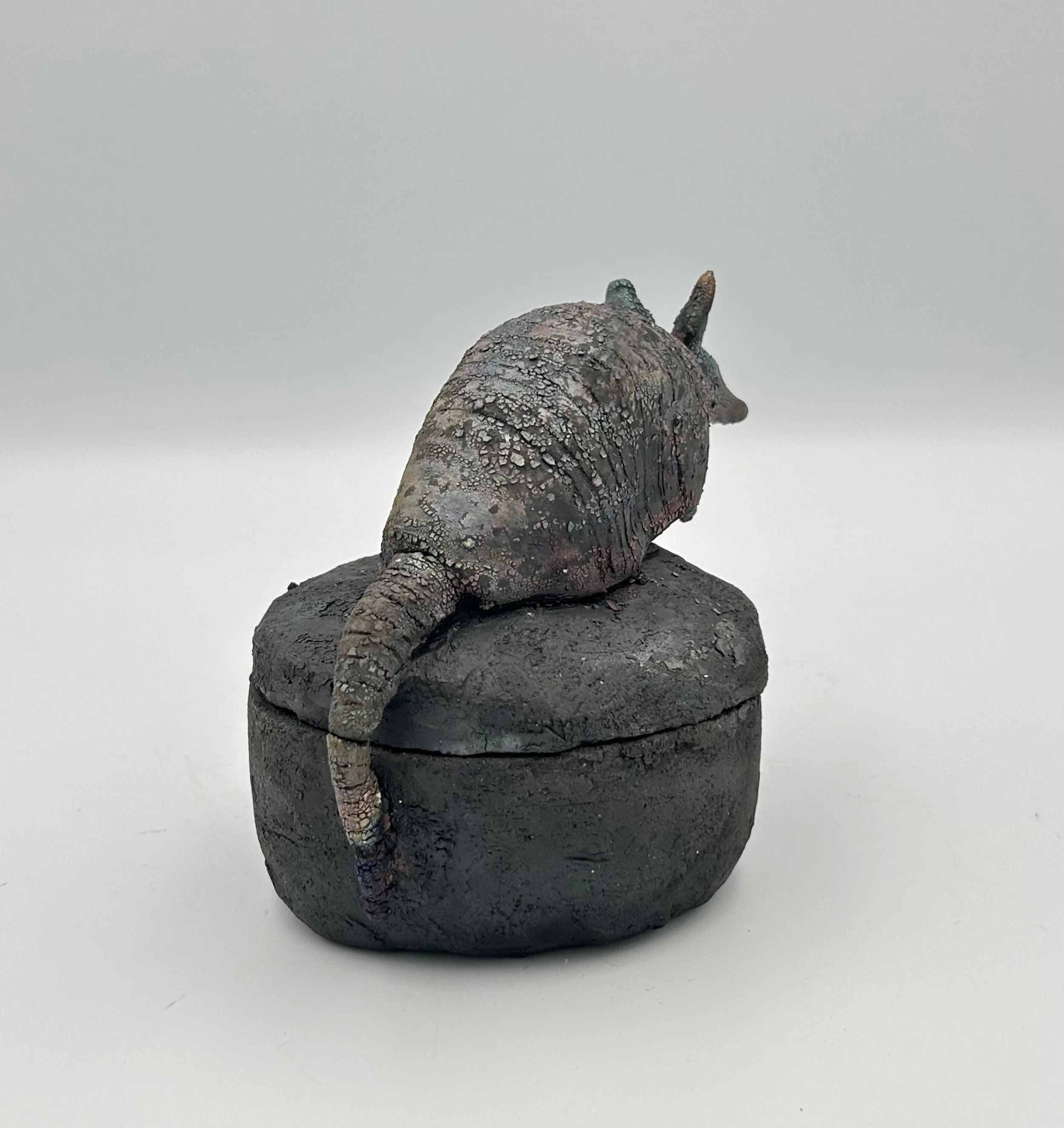 Armadillo box1.jpeg