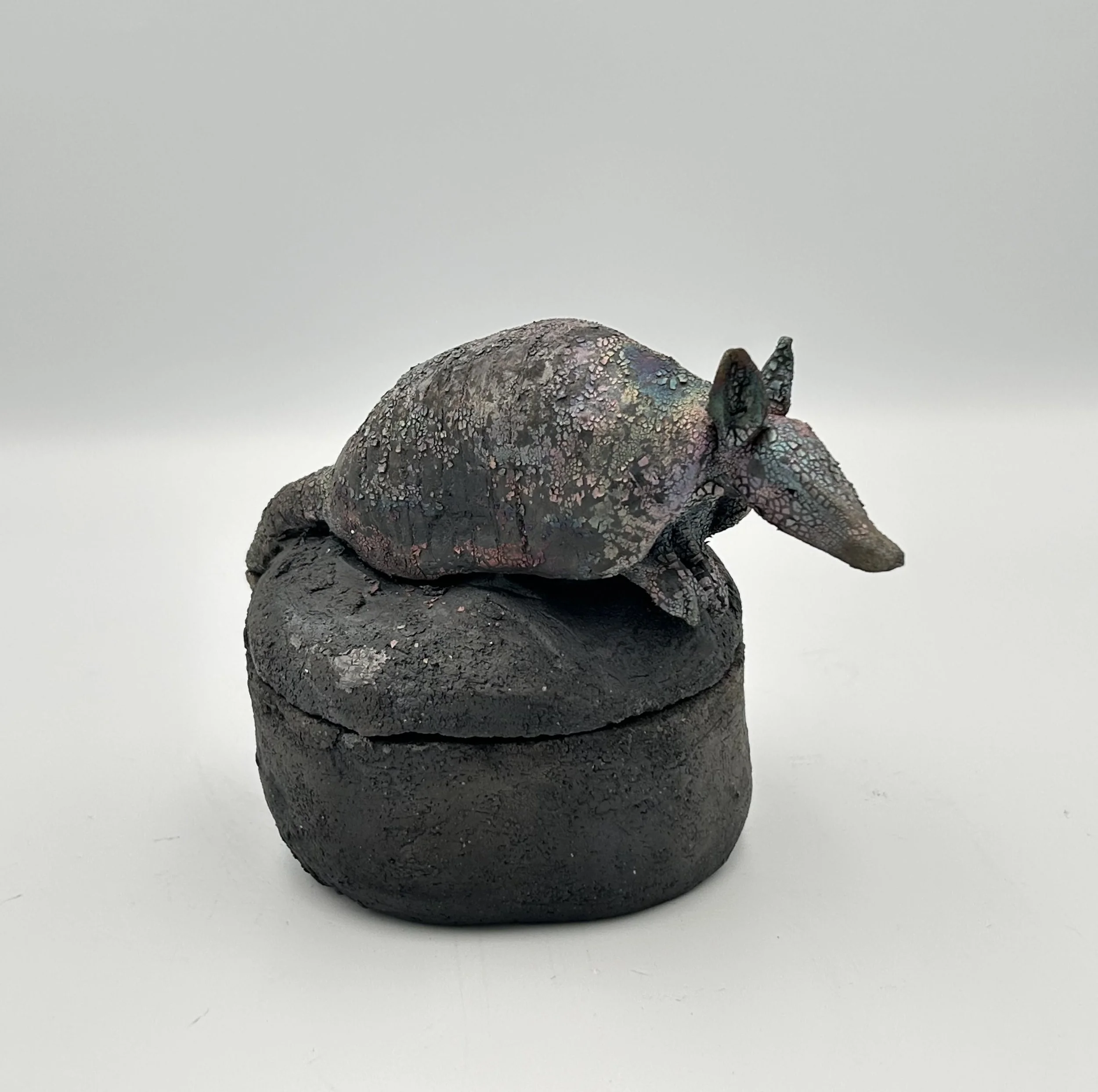 Armadillo box0.jpeg