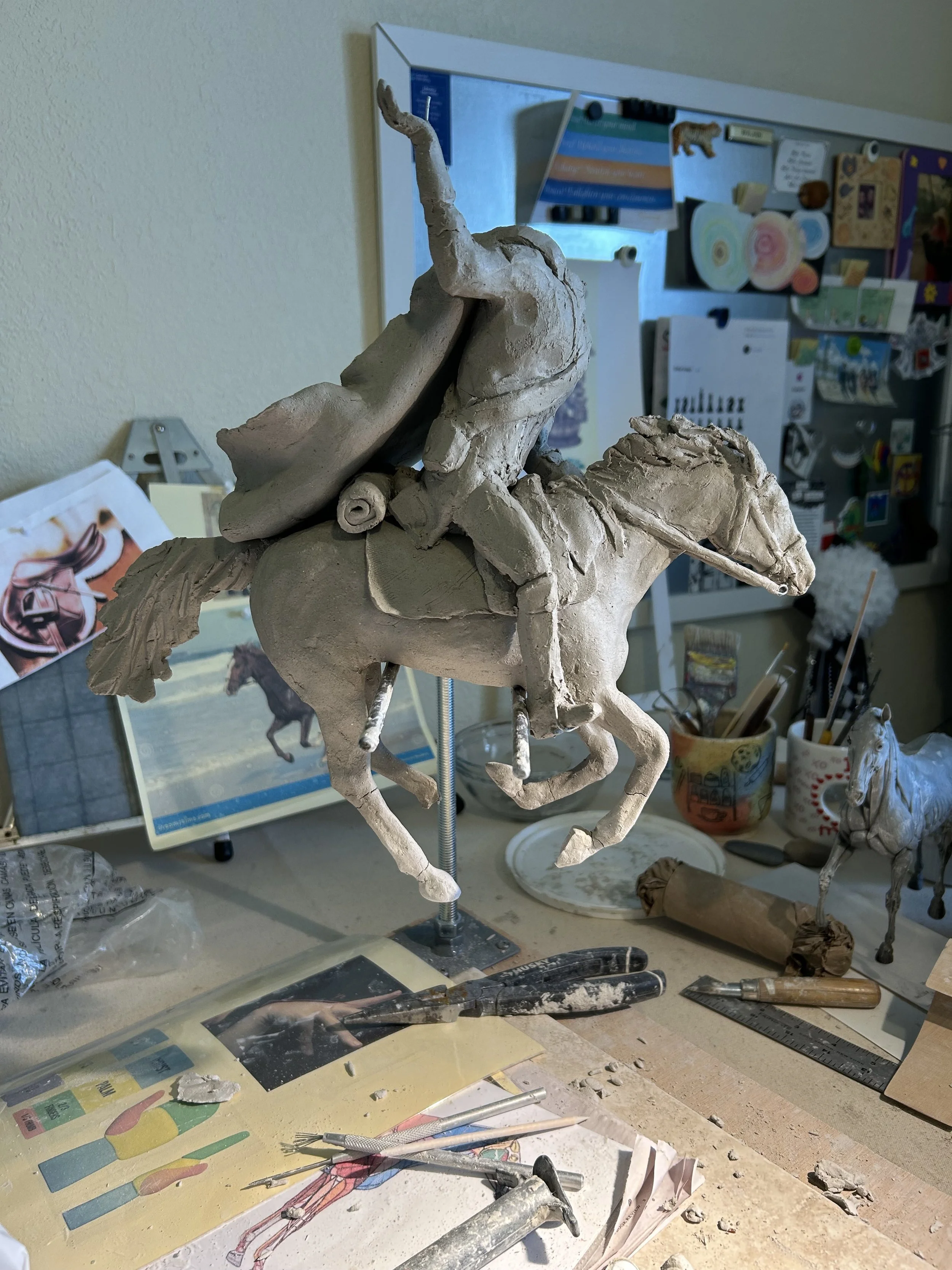 Mounted the rider to horse.