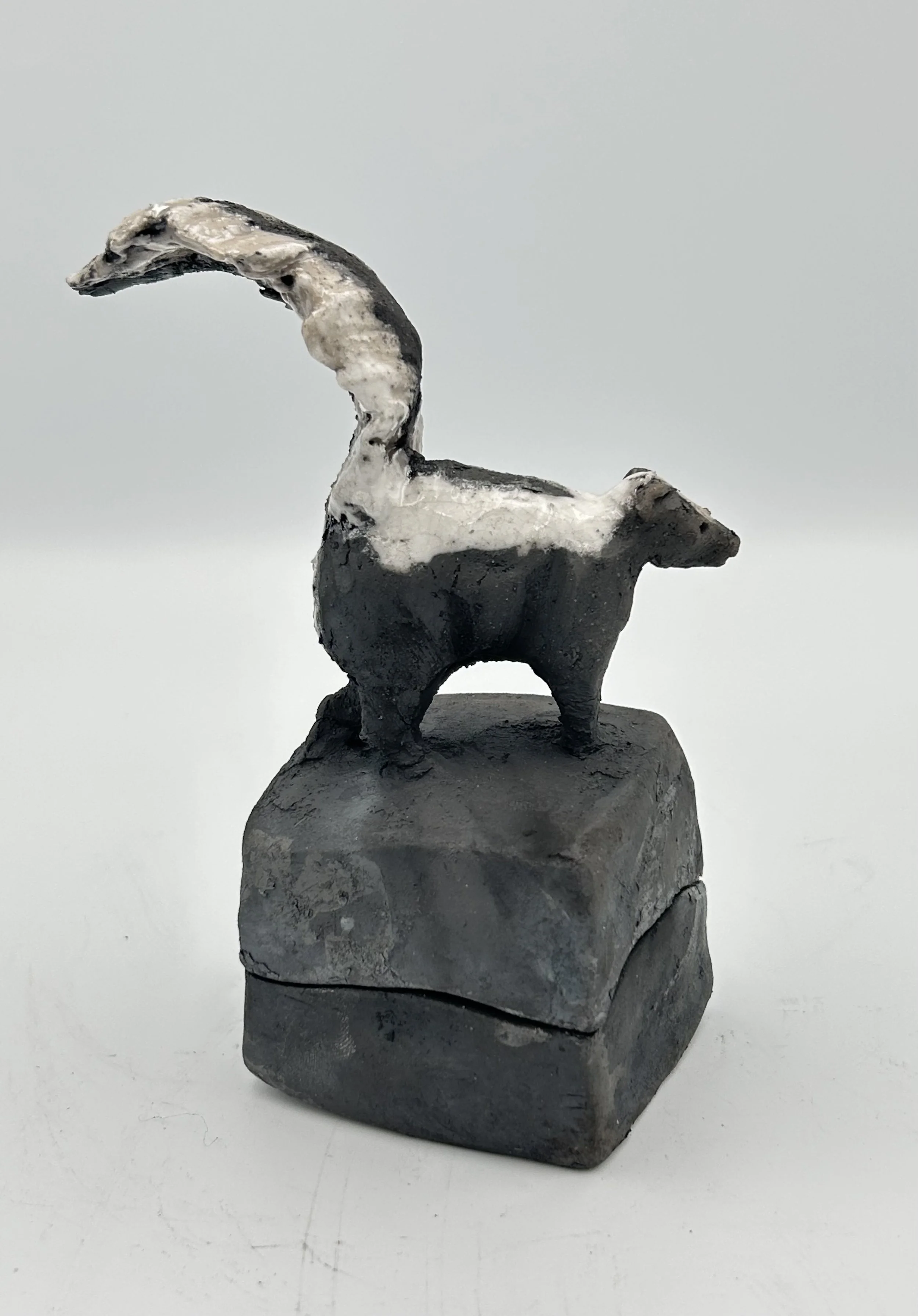 Skunk box0.jpeg