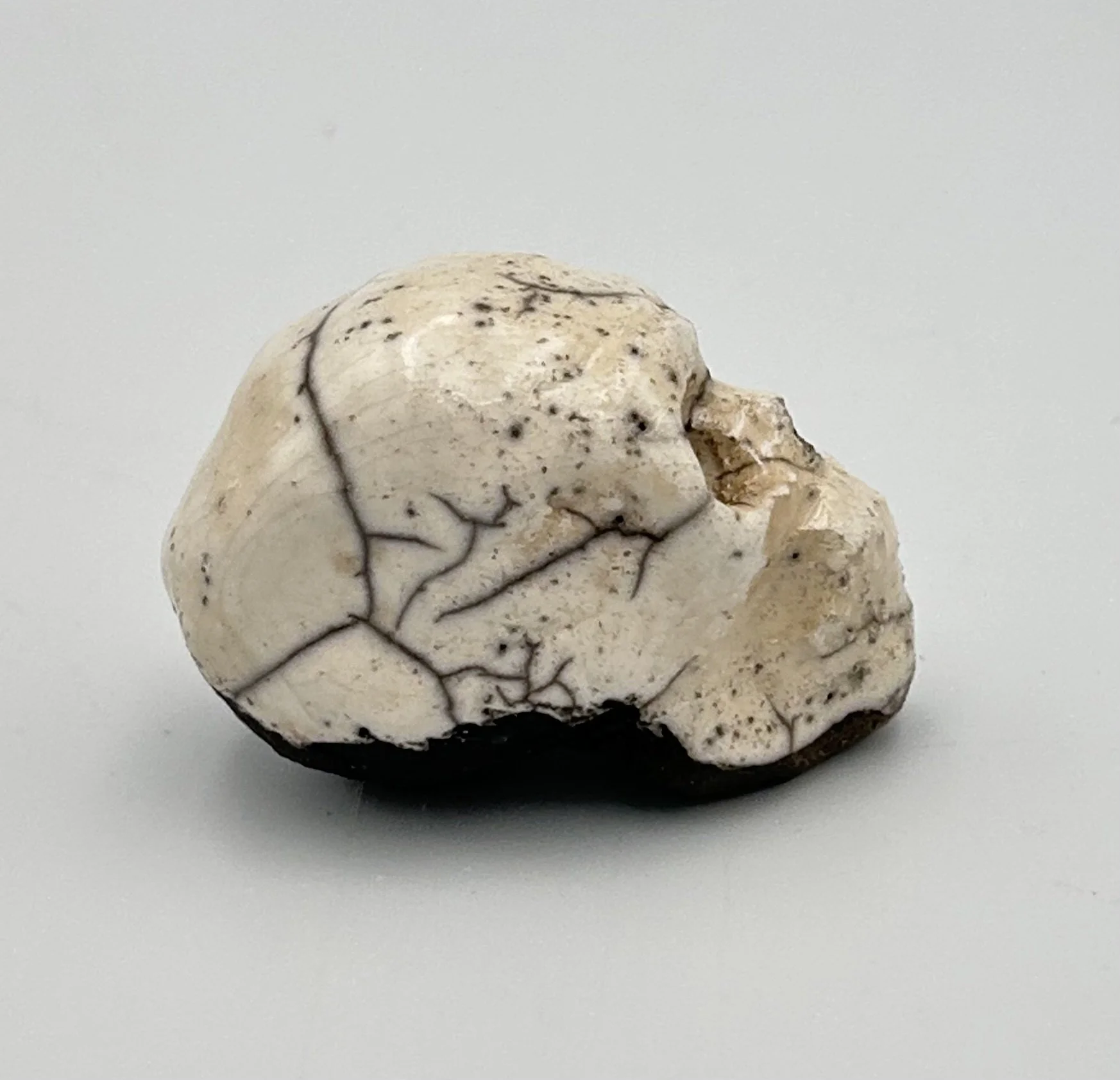 tiny skull5.jpeg