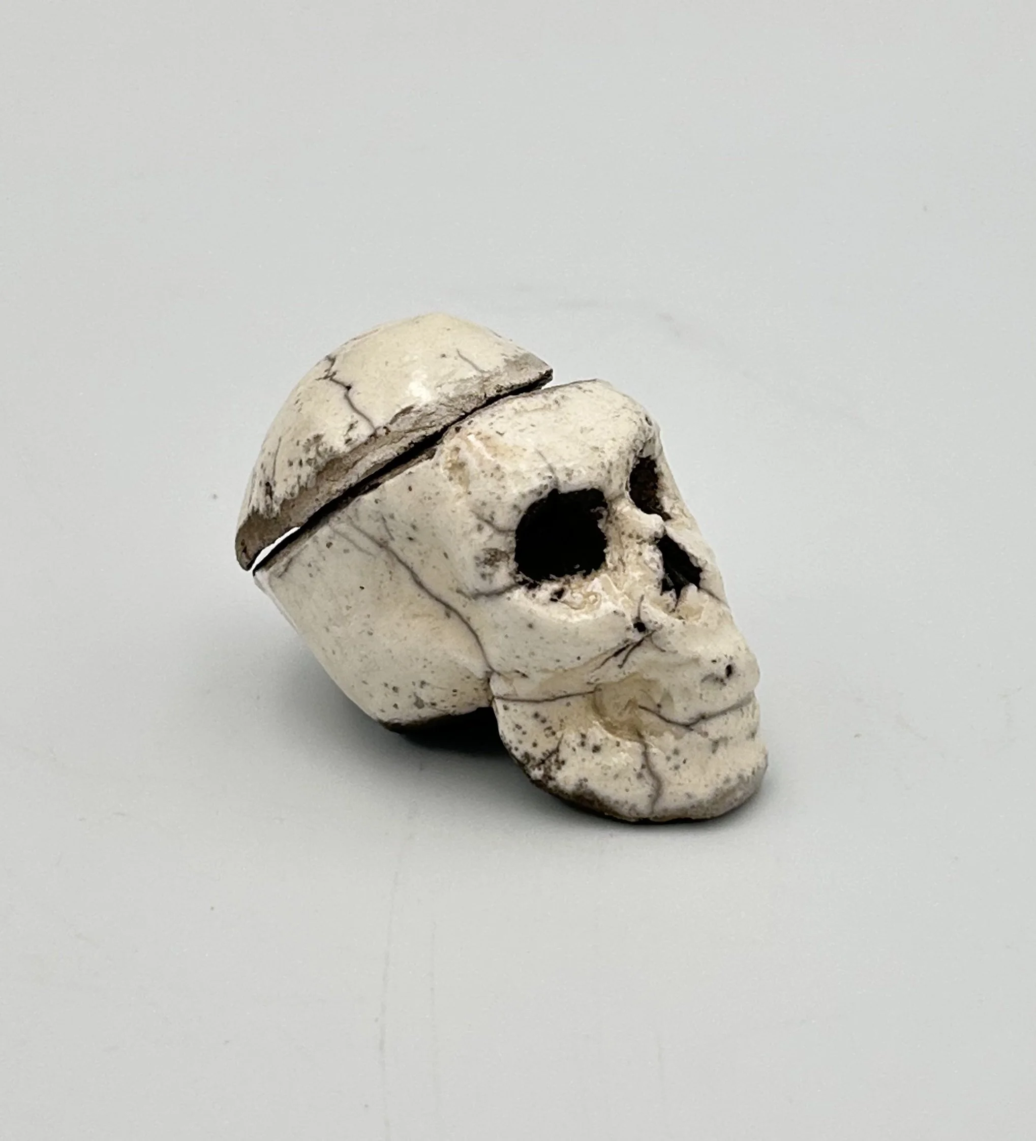 skull lid2.jpeg