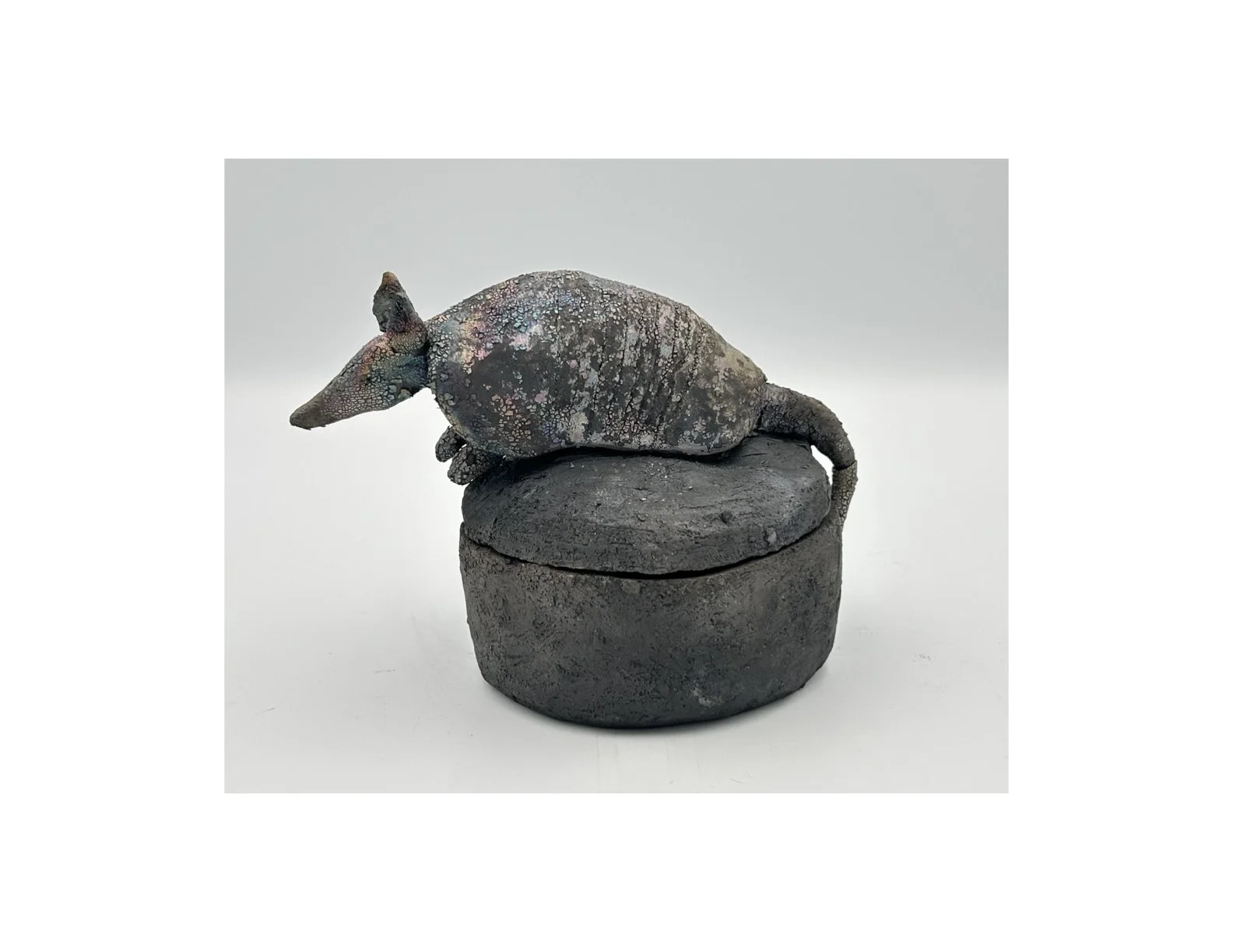 Armadillo sm.1.jpeg