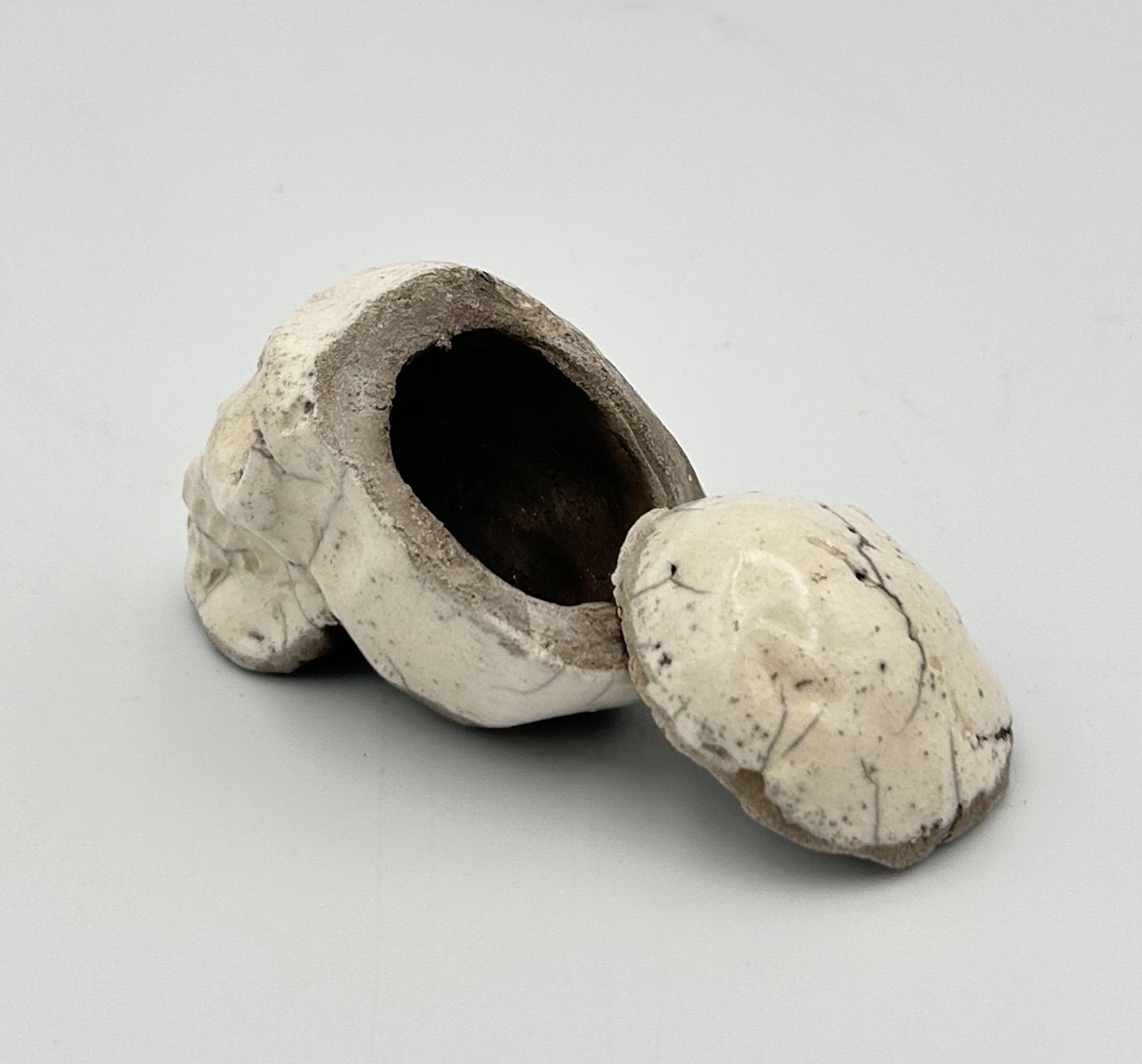 skull lid6.jpeg