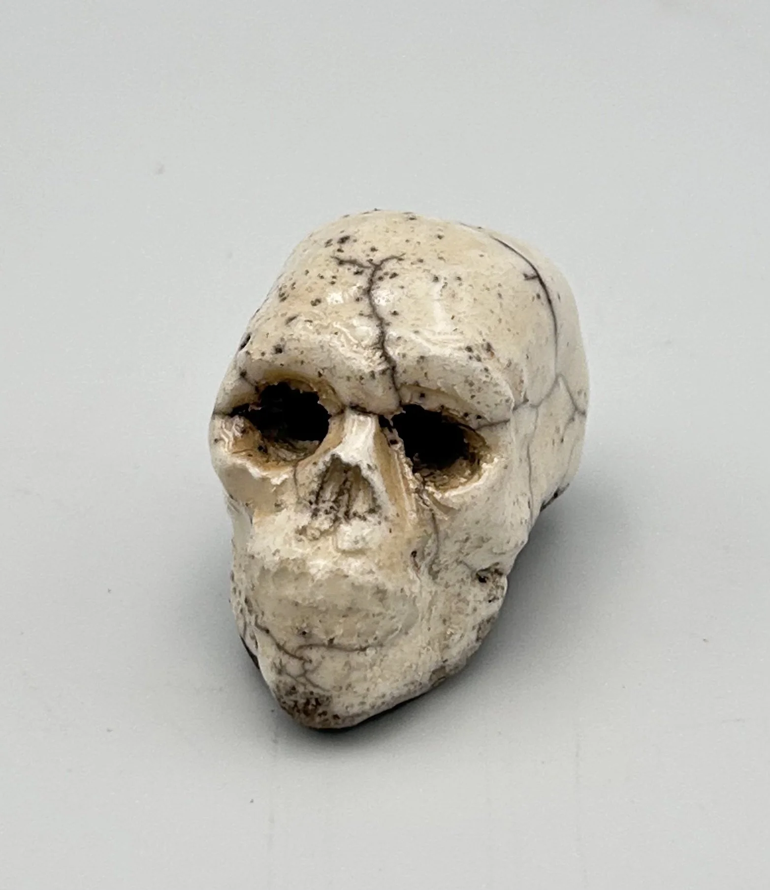 tiny skull.jpeg