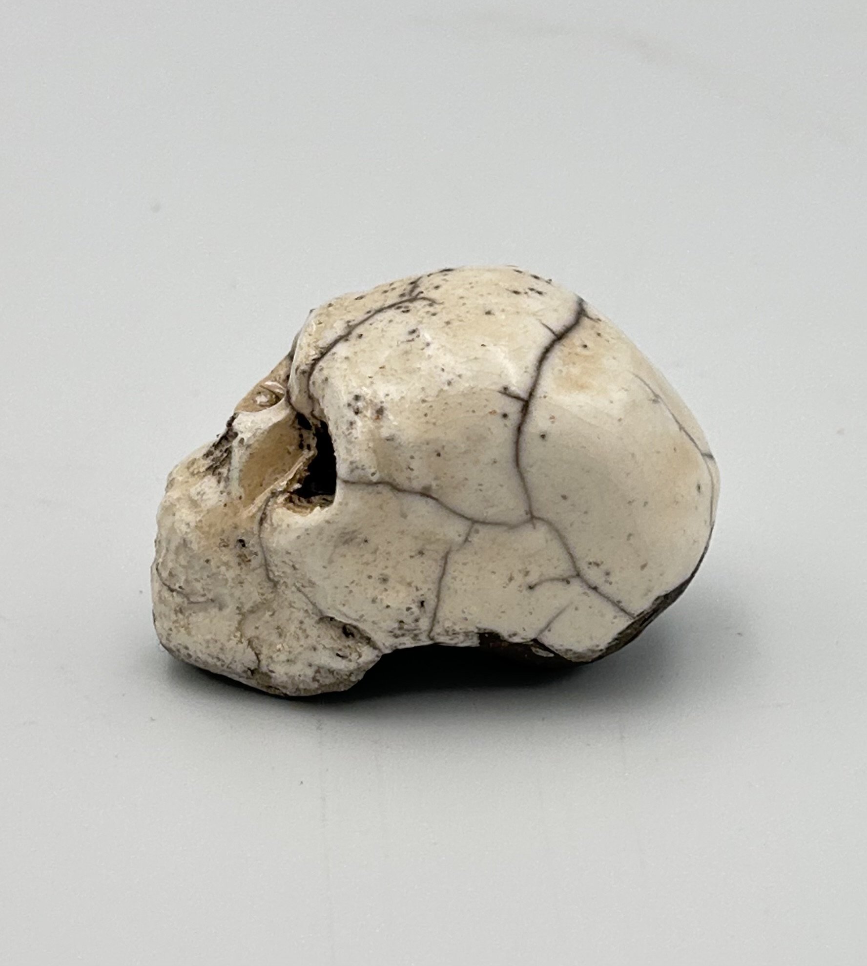 tiny skull2.jpeg