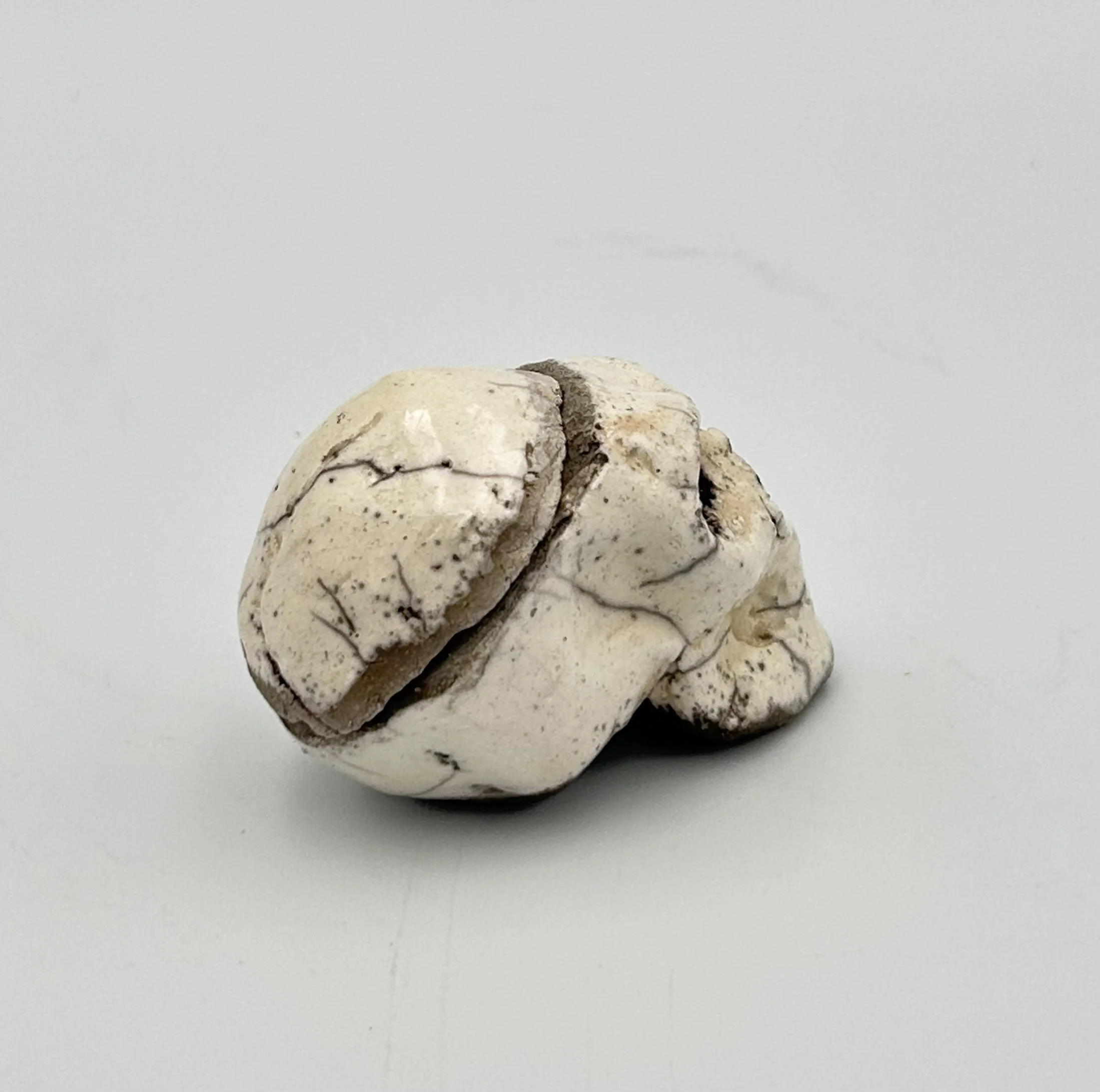 skull lid3.jpeg