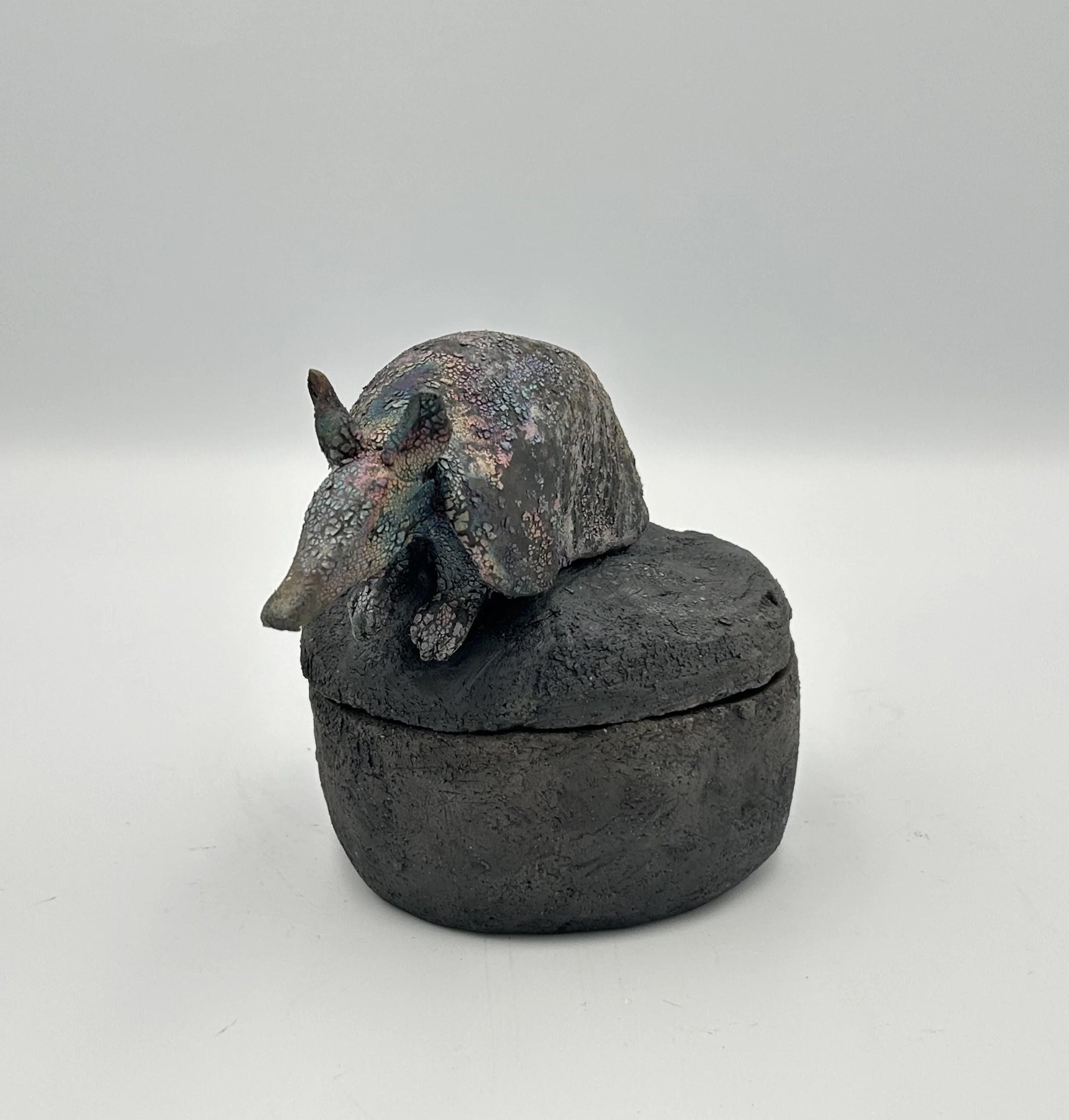 Armadillo box9.jpeg