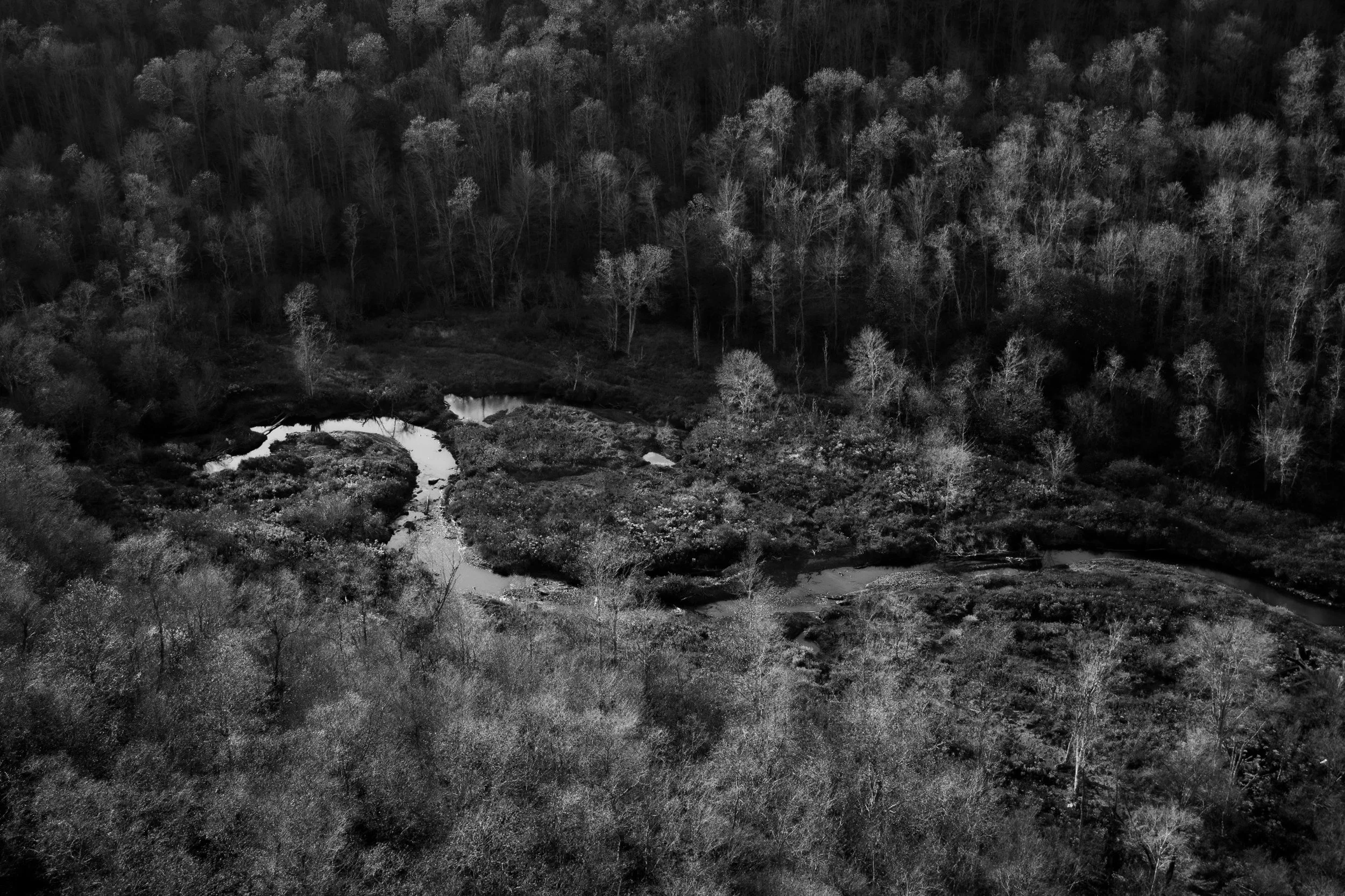 A black and white aerial photo of a dense forest with trees and a winding river or stream flowing through the landscape.