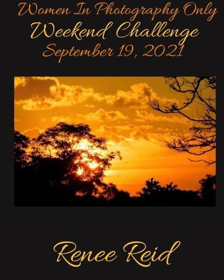 An event announcement with a sunset photo in the background. Text at the top reads 'Women In Photography Only Weekend Challenge September 19, 2021,' and at the bottom, it says 'Renee Reid.'