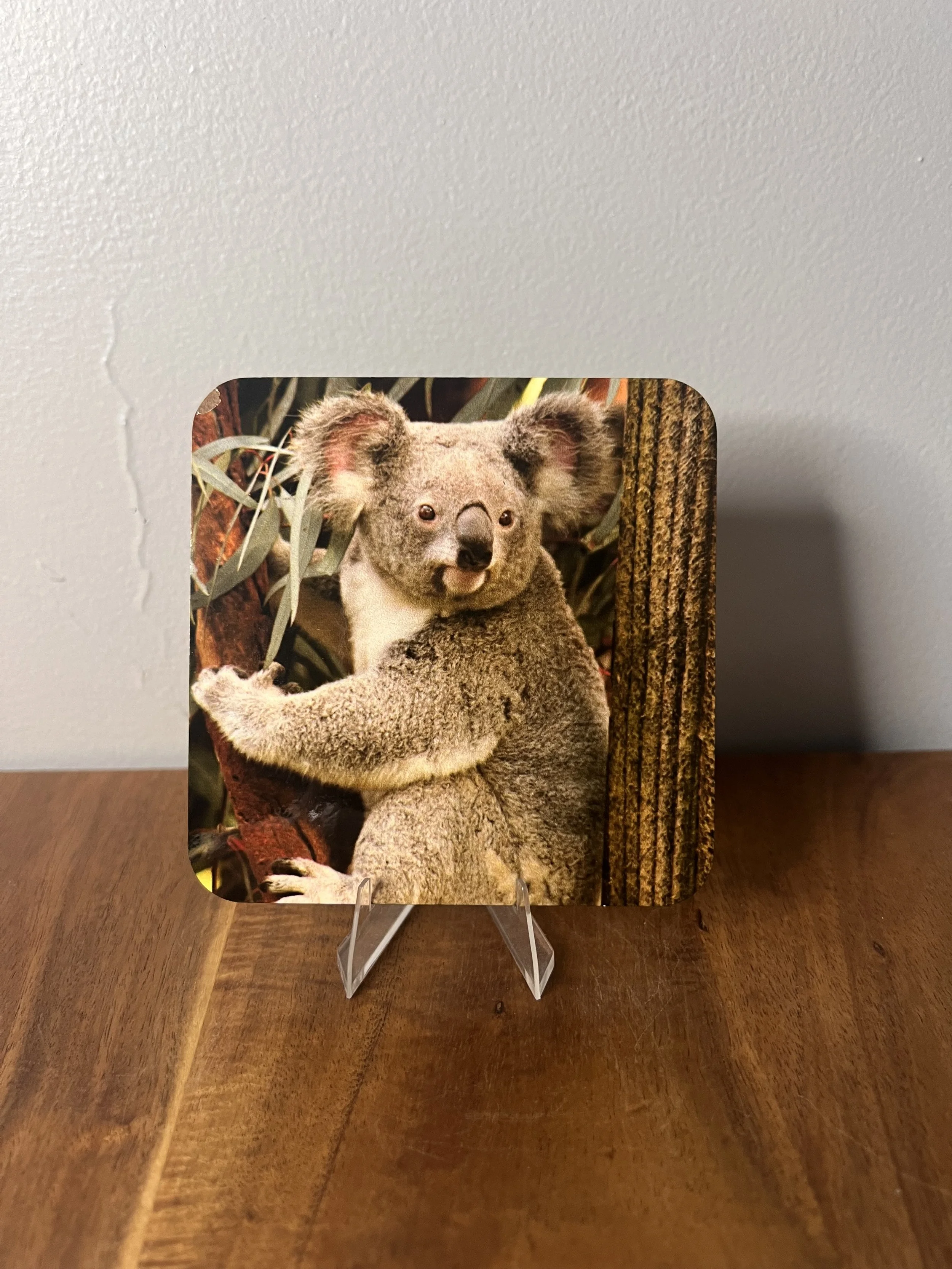 Koala Tree Coaster