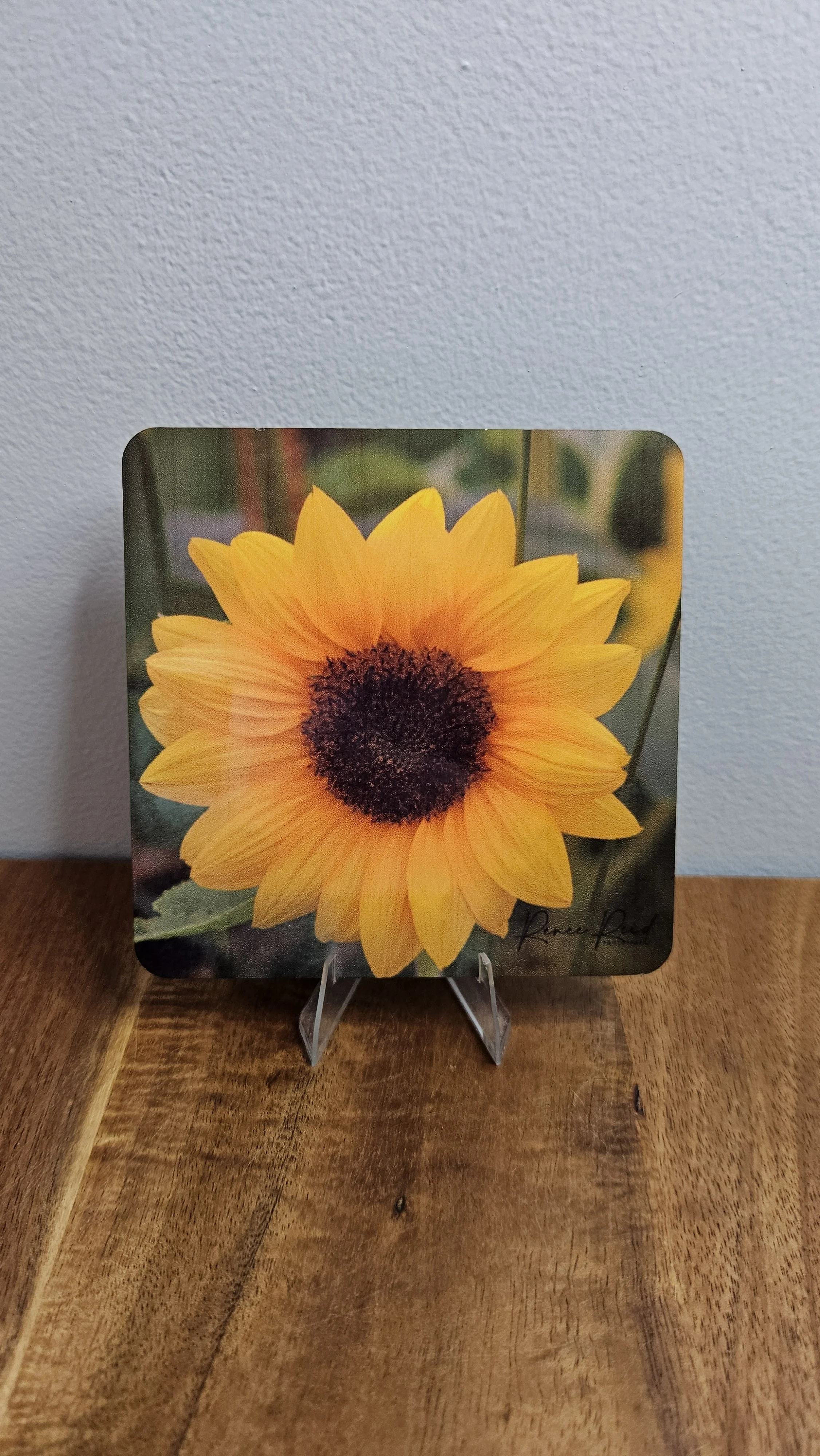 Sunflower Coaster