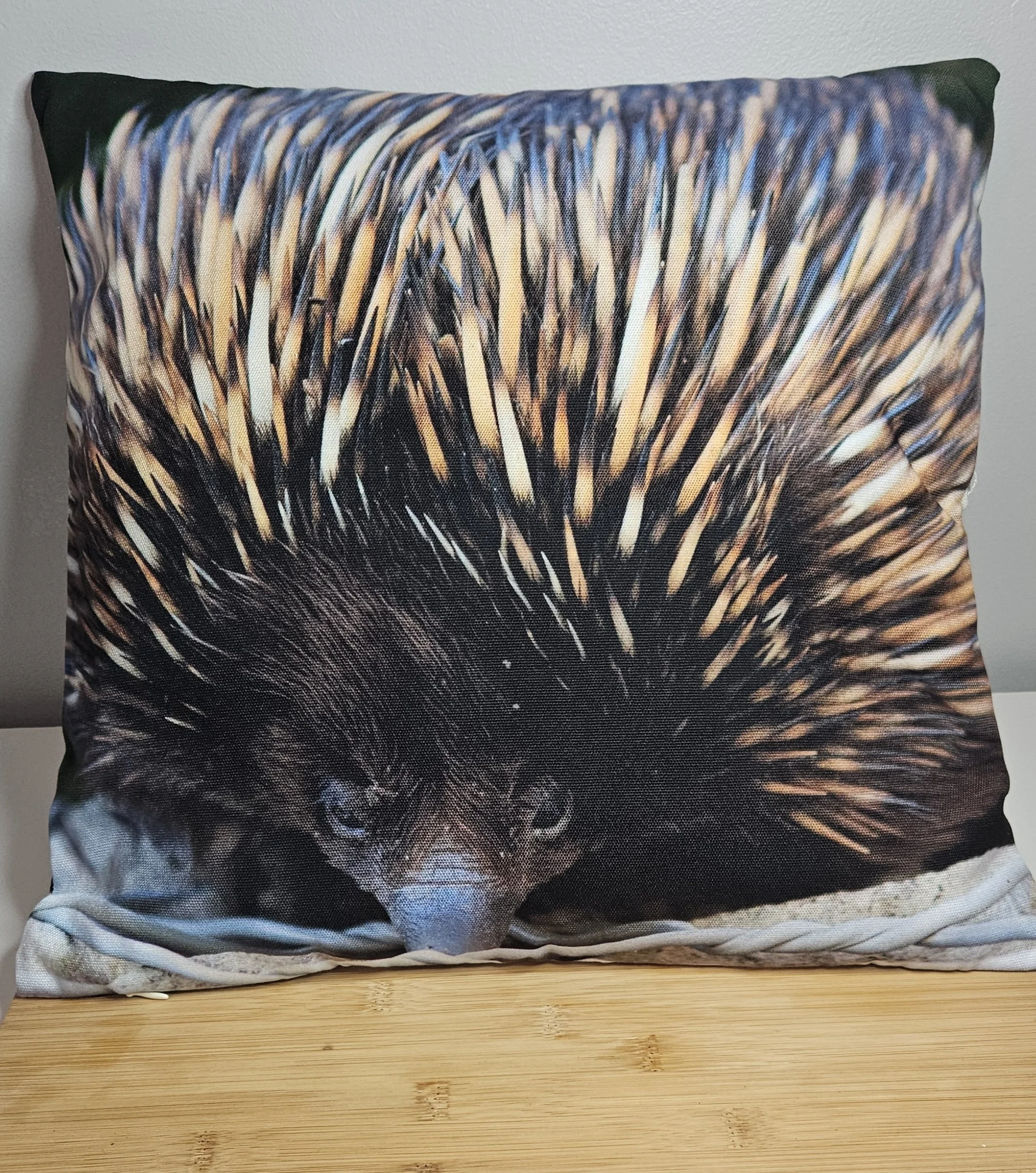 Echidna Cushion