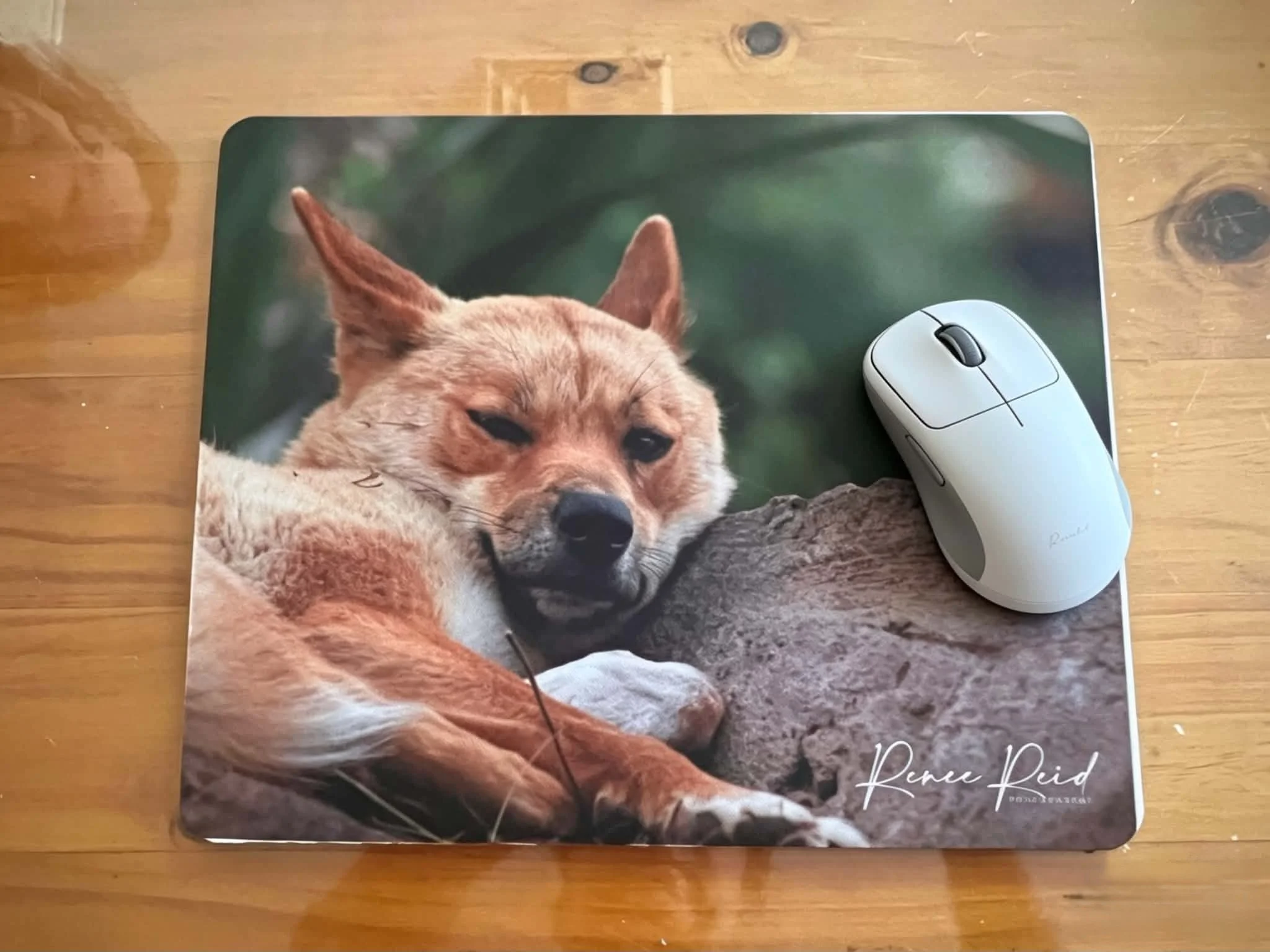 Dingo Mousepad
