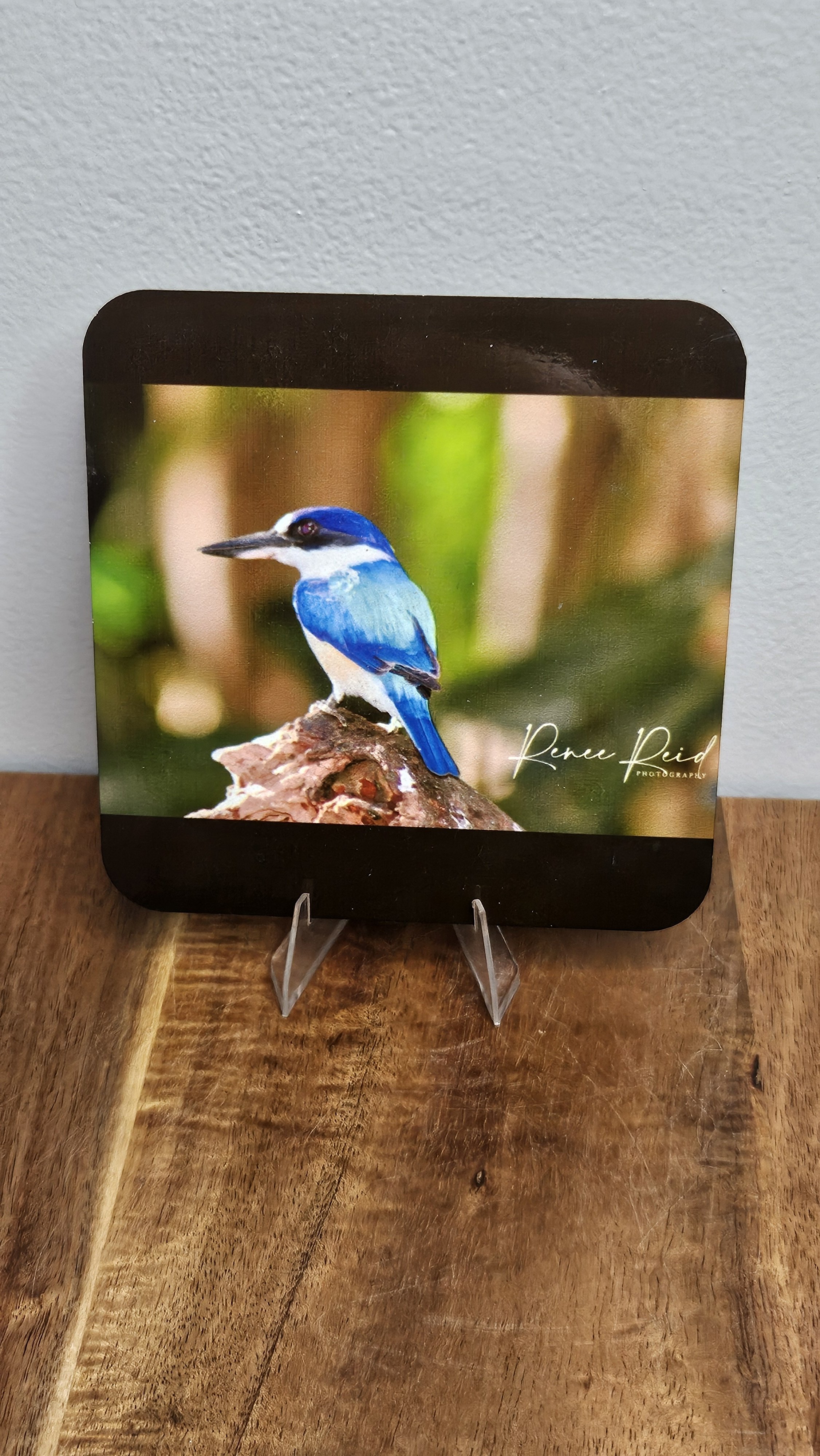 Kingfisher Coaster