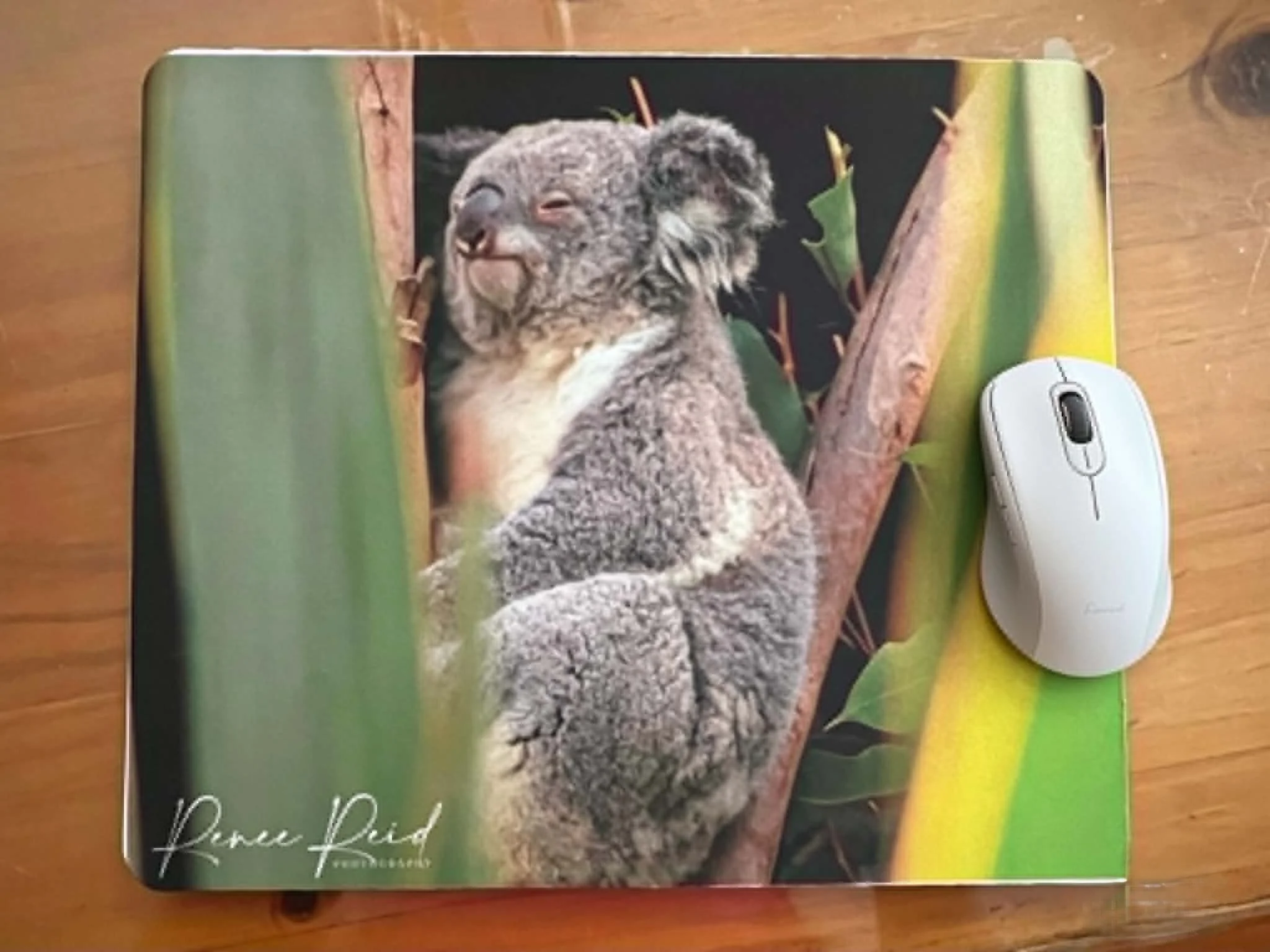 Tree Koala Mousepad