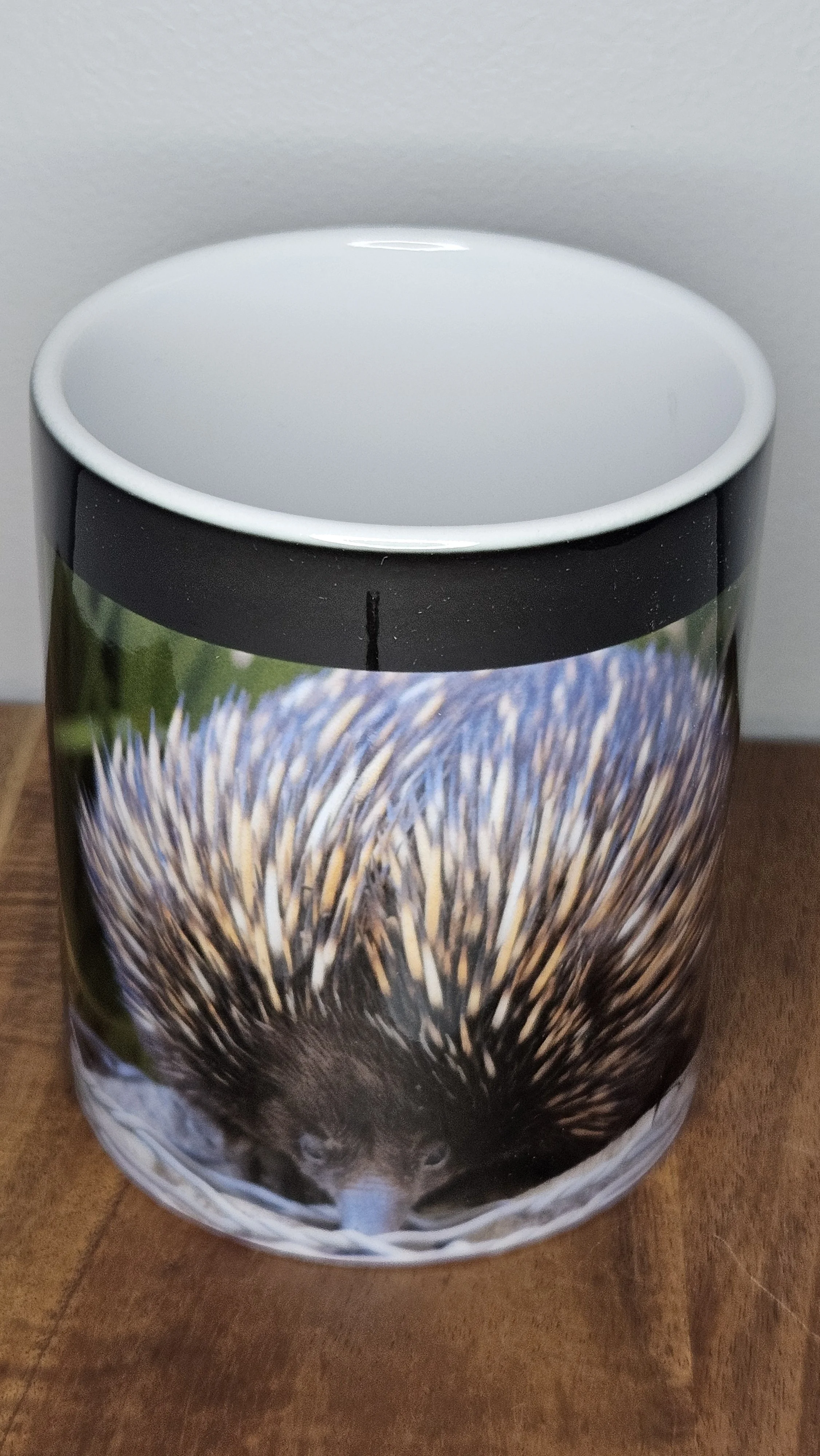 Echidna Mug