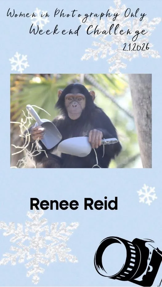 Invitation for Women in Photography Only Weekend Challenge dated 2.1.2026, featuring a chimpanzee holding a camera and a watering can, with snowflakes and a camera graphic in the design.