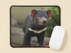 Tasmainan Devil Mousepad