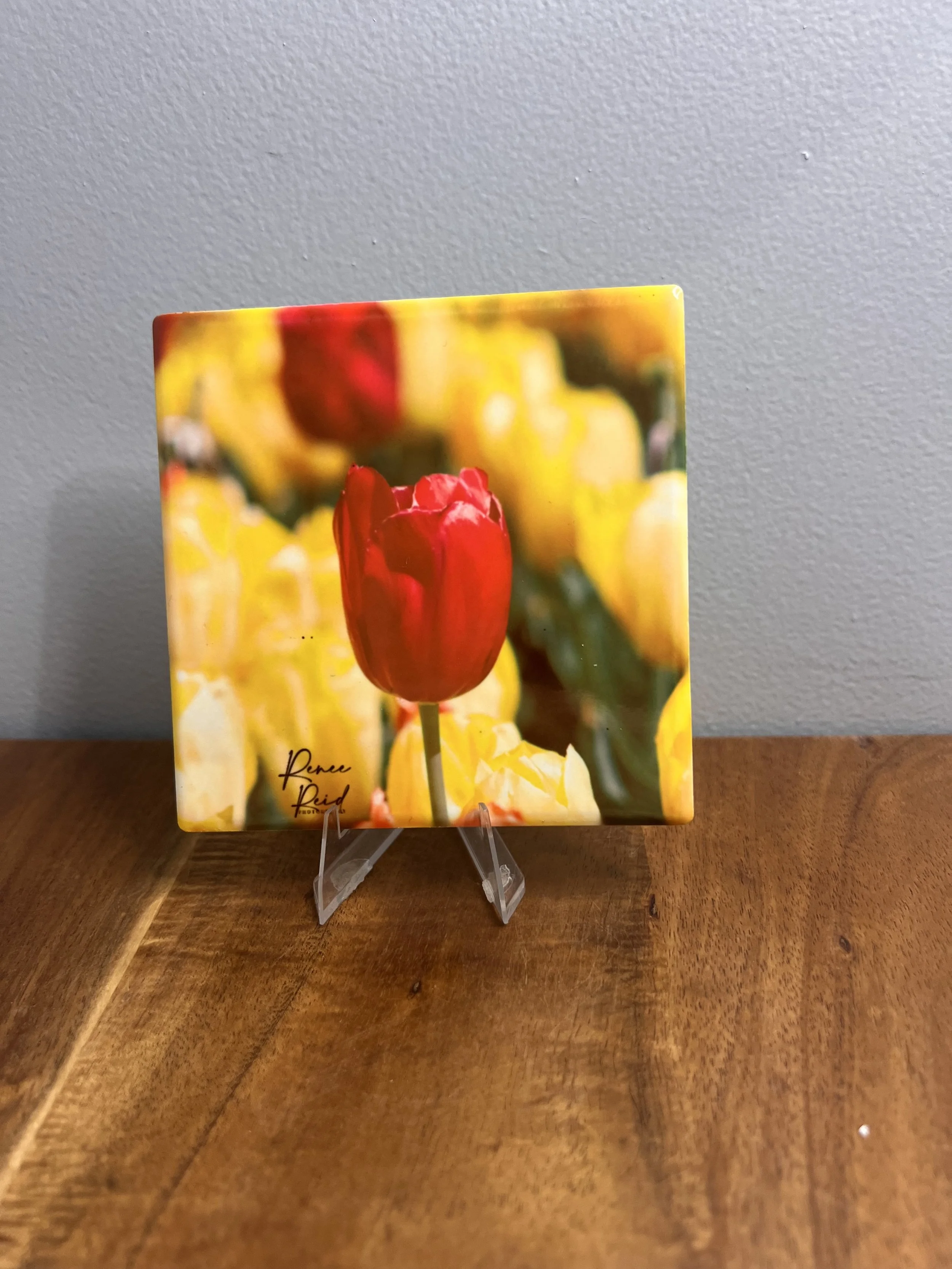 Red Tulip