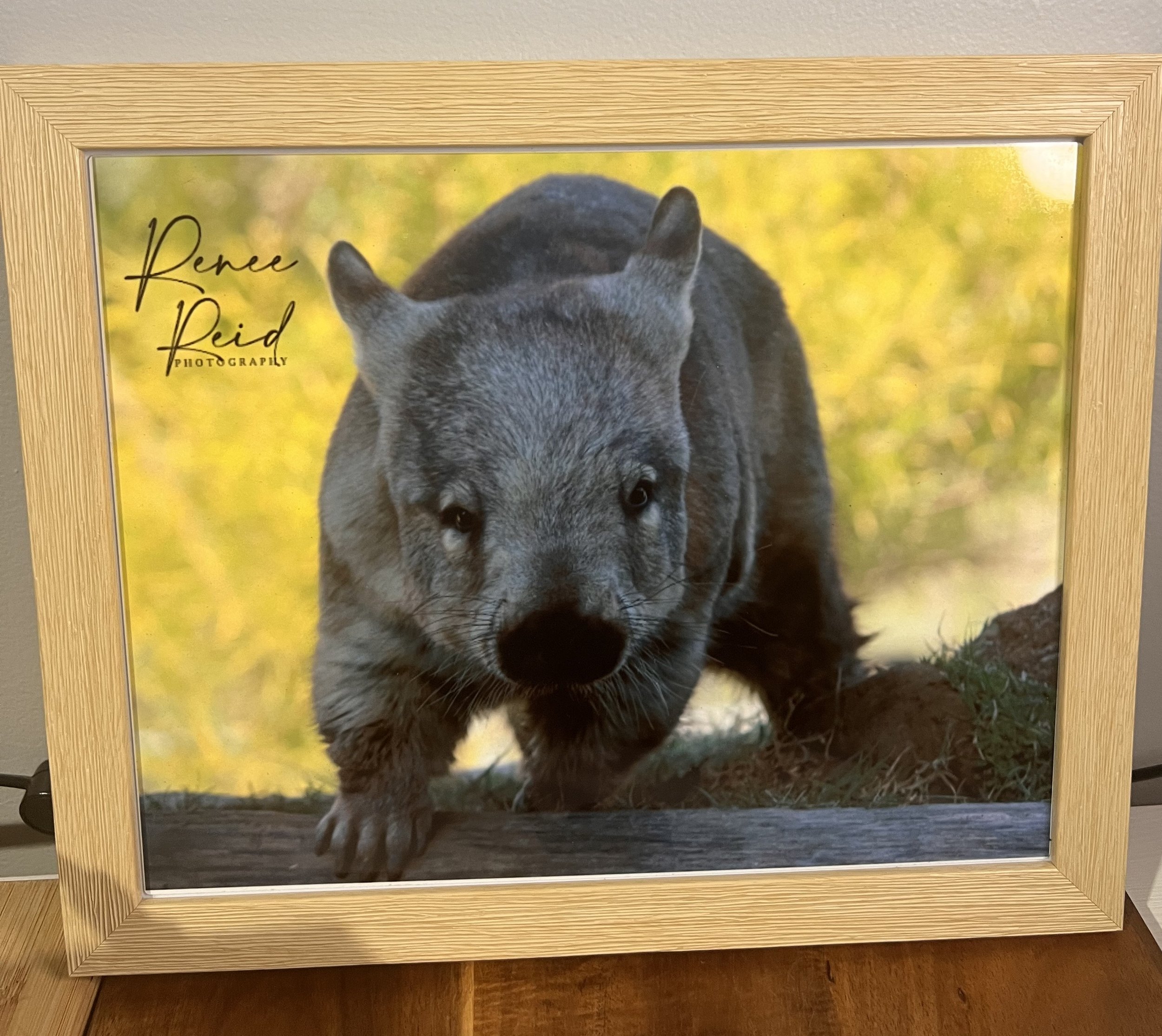 Picture Frame 28cm x 23cm Natural Wood Wombat