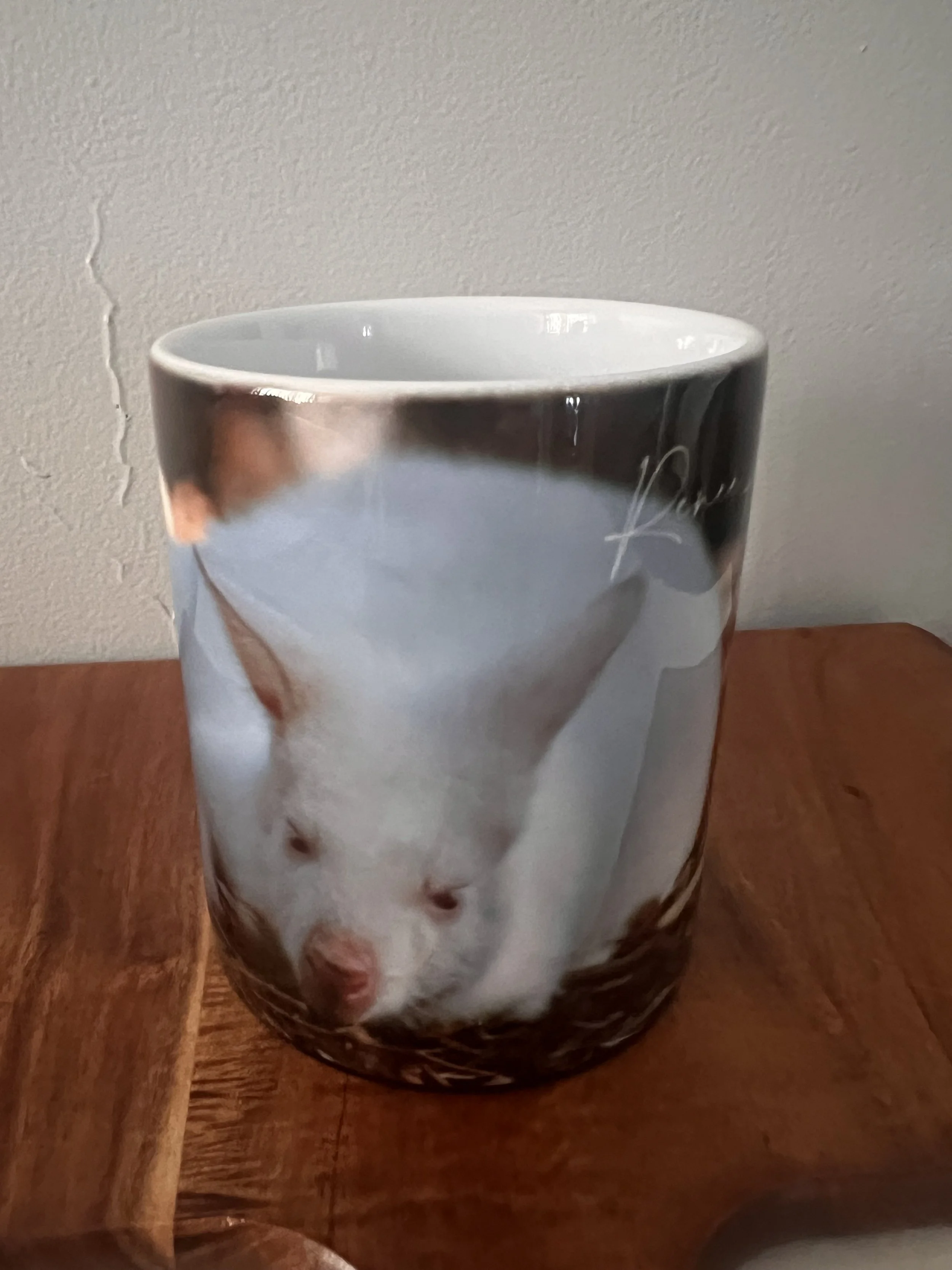 Albino Mug