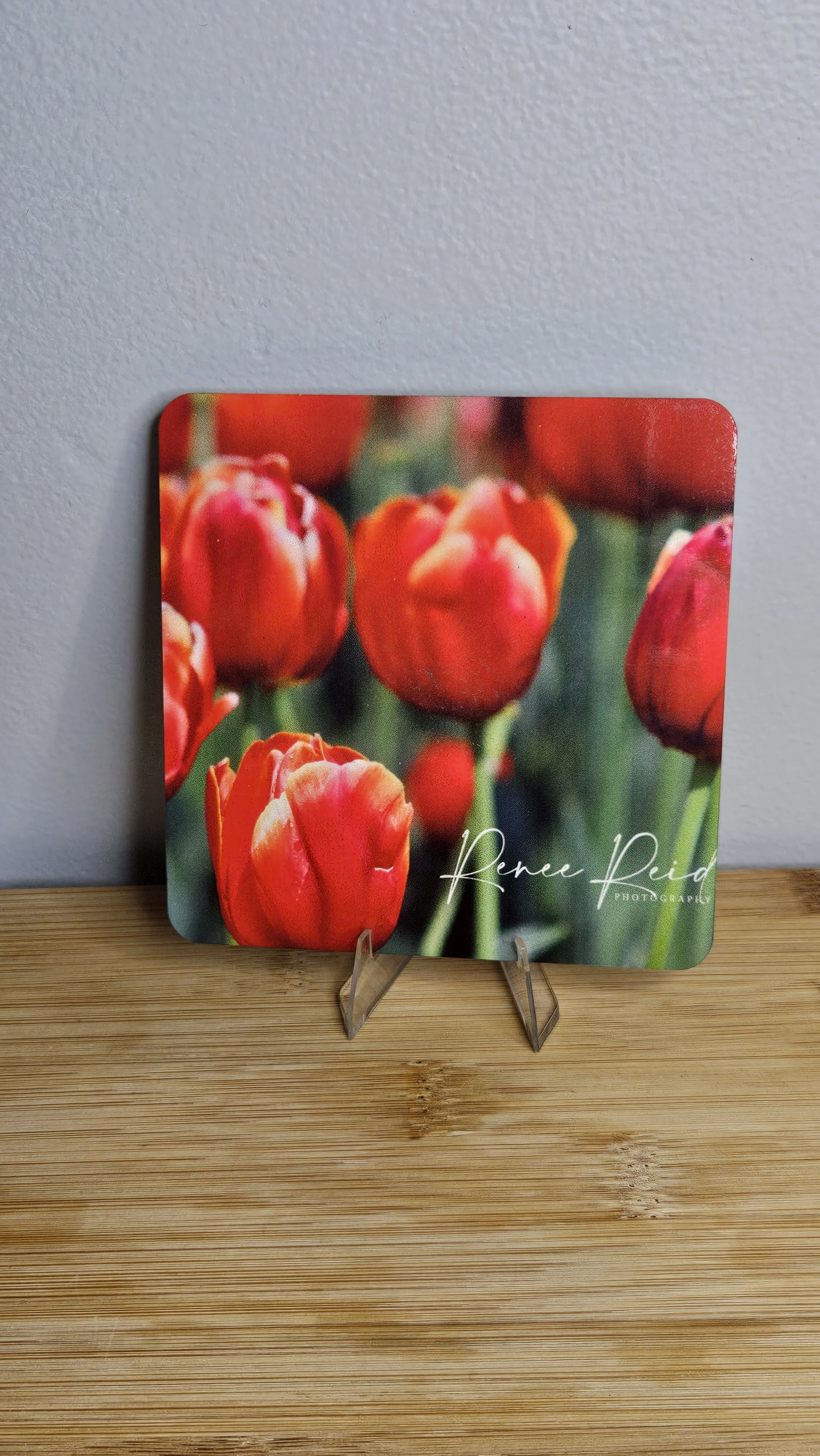 Red Tulip Coaster