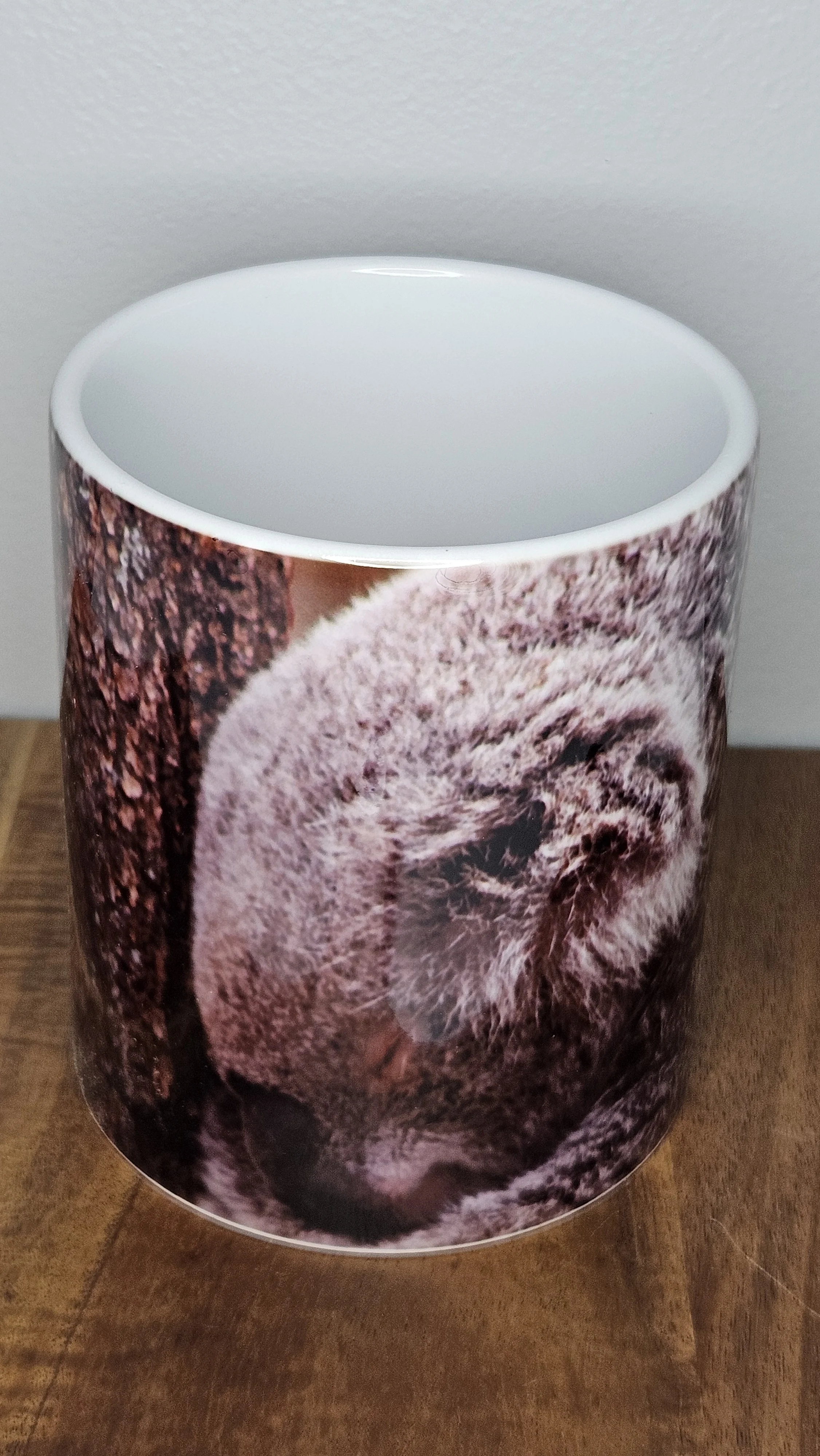 Sleepy Koala Mug