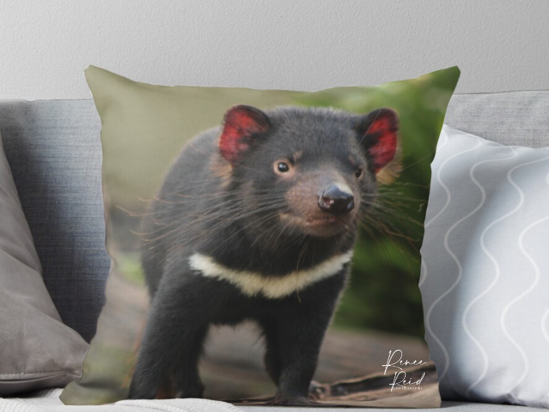 Tasmania Devil Cushion