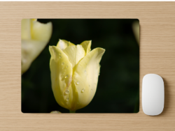 White Tulip Mousepad