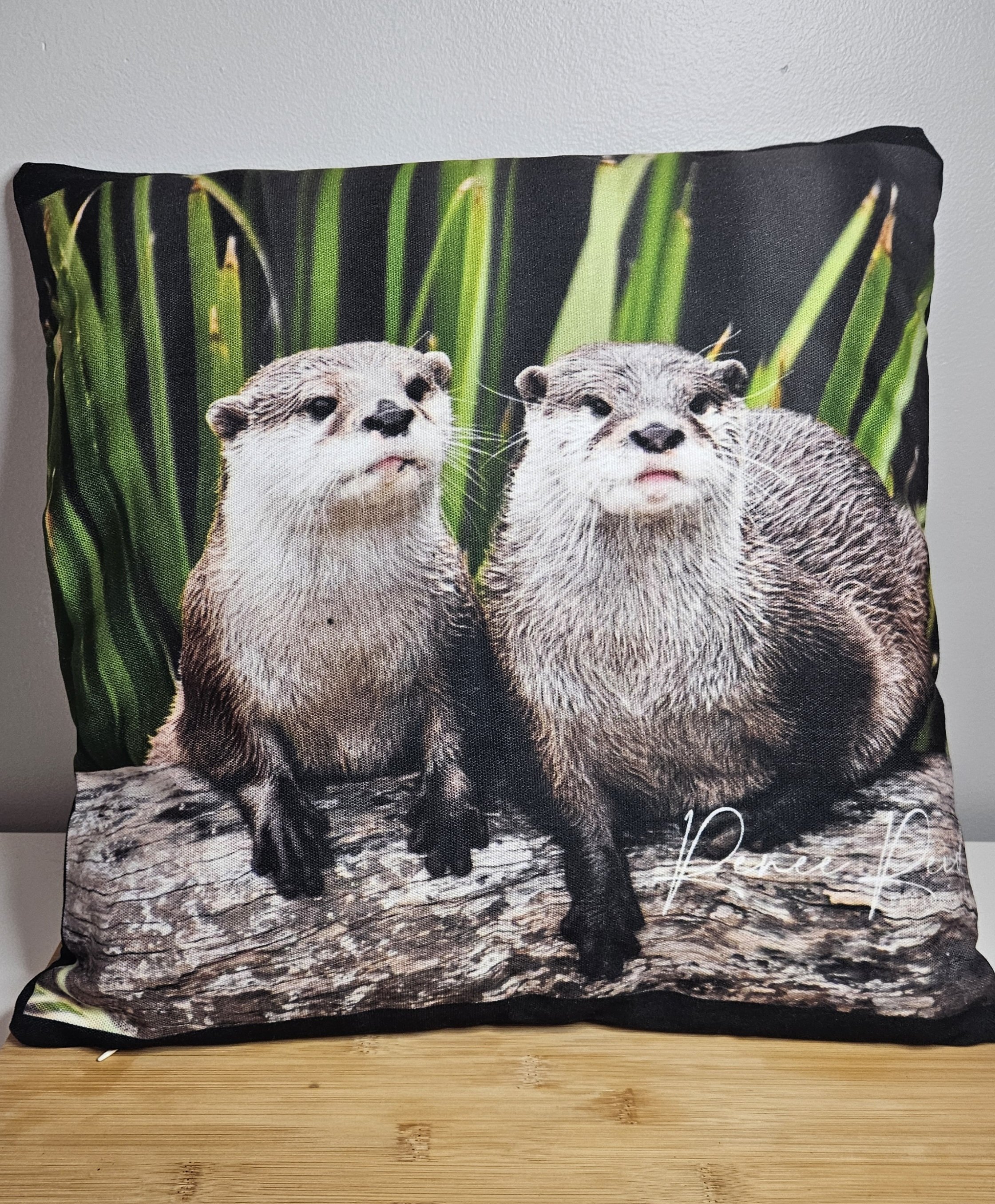 Otter Cushion
