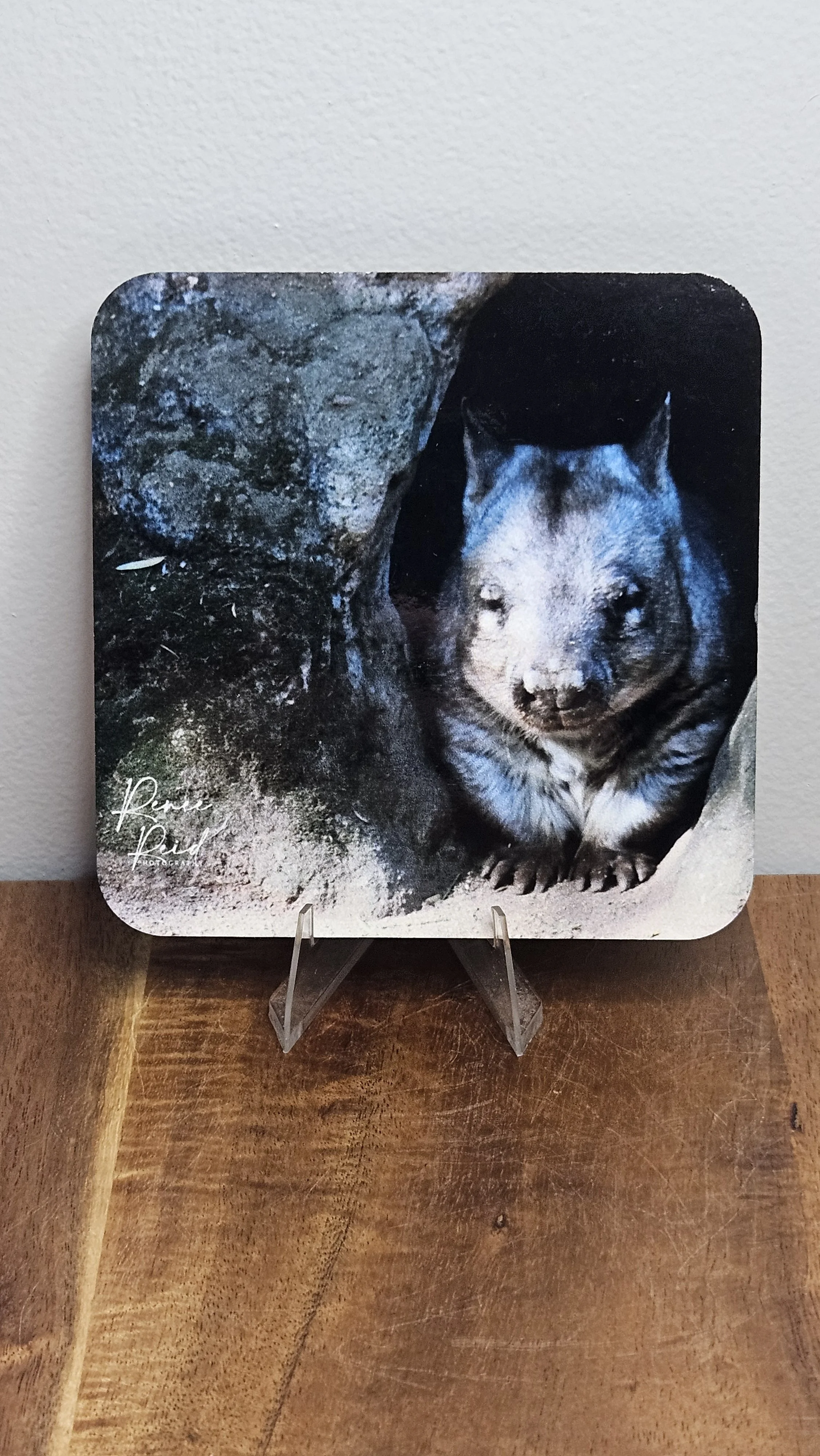 Wombat Coaster