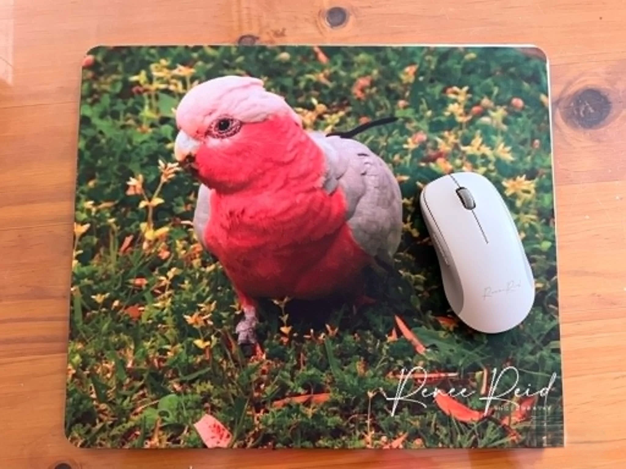 Pink Galah Mousepad