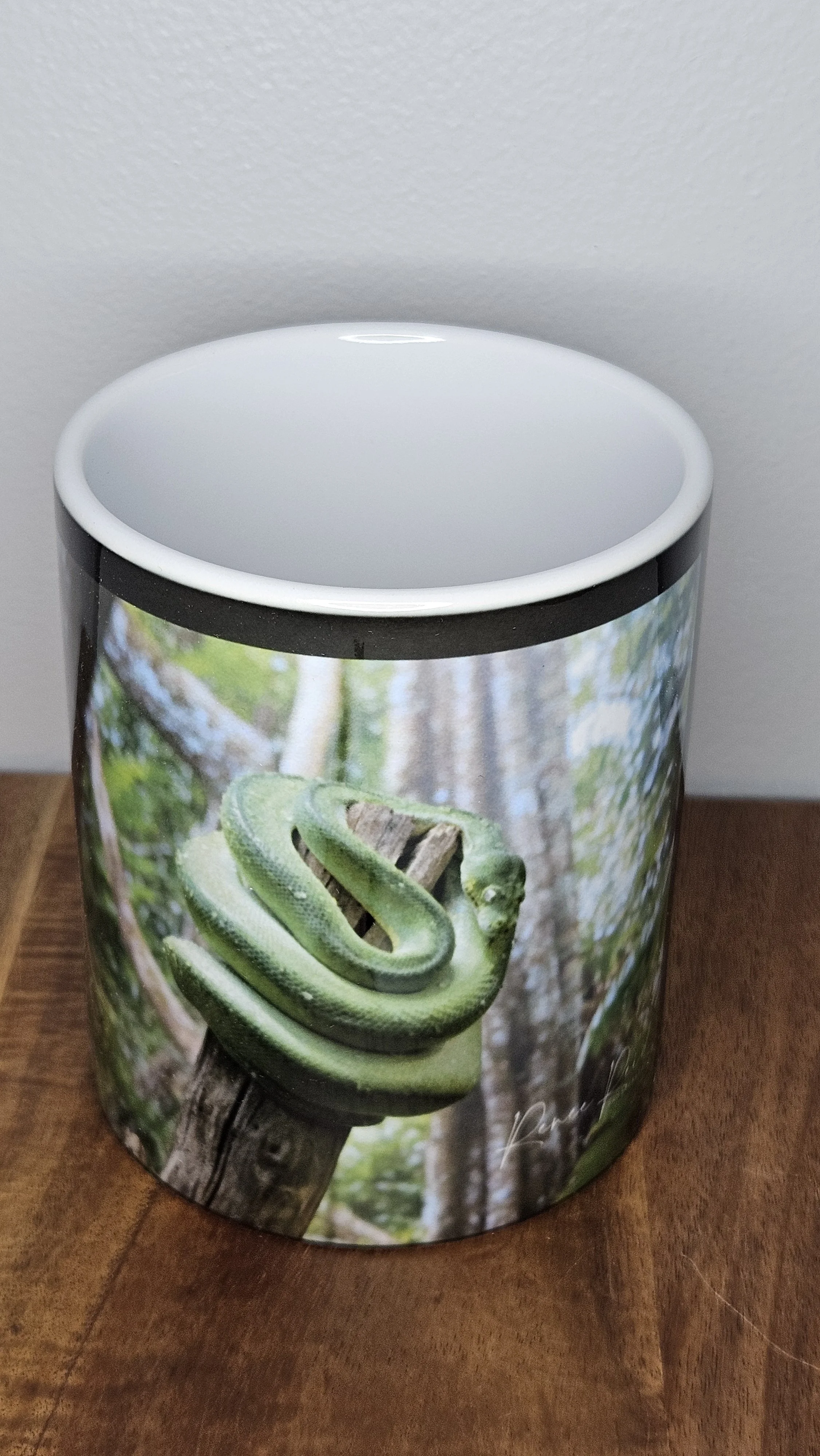 Green Snake Mug