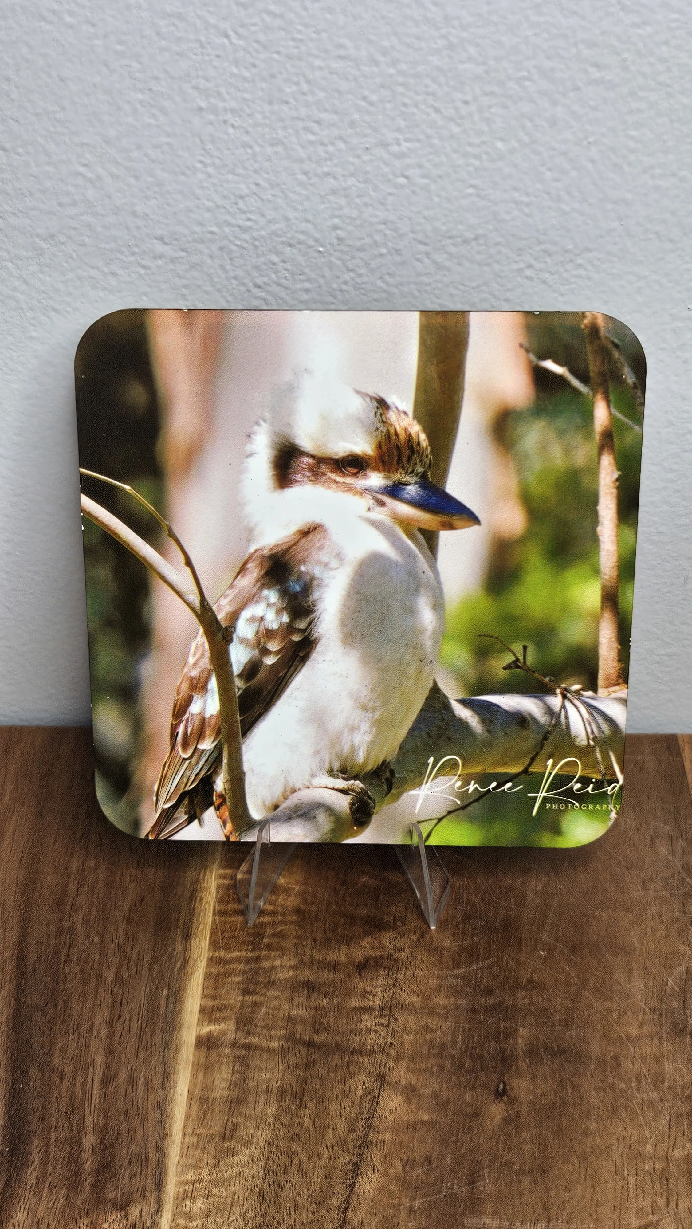 Kookaburra Coaster