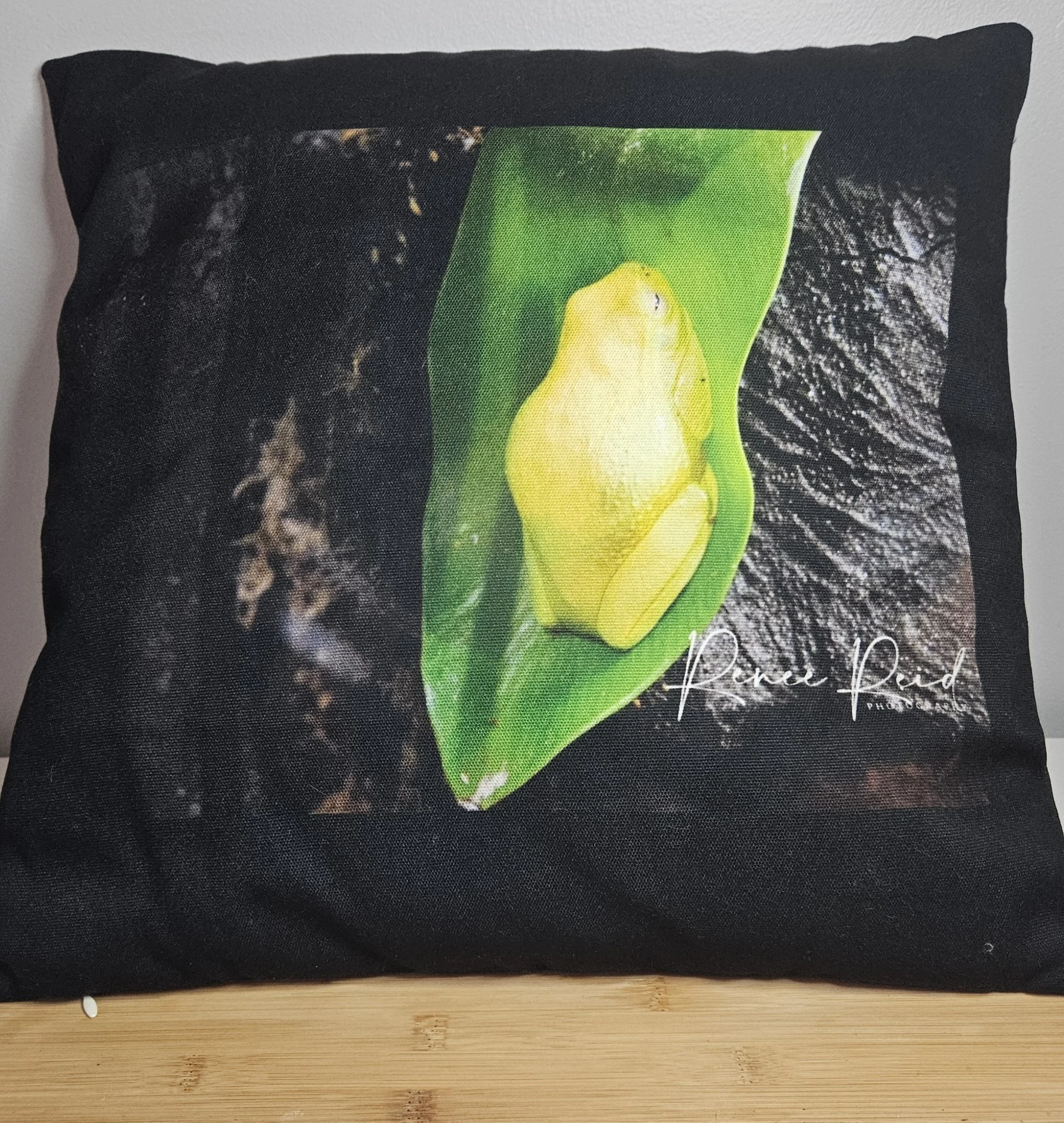 Green Frog Cushion