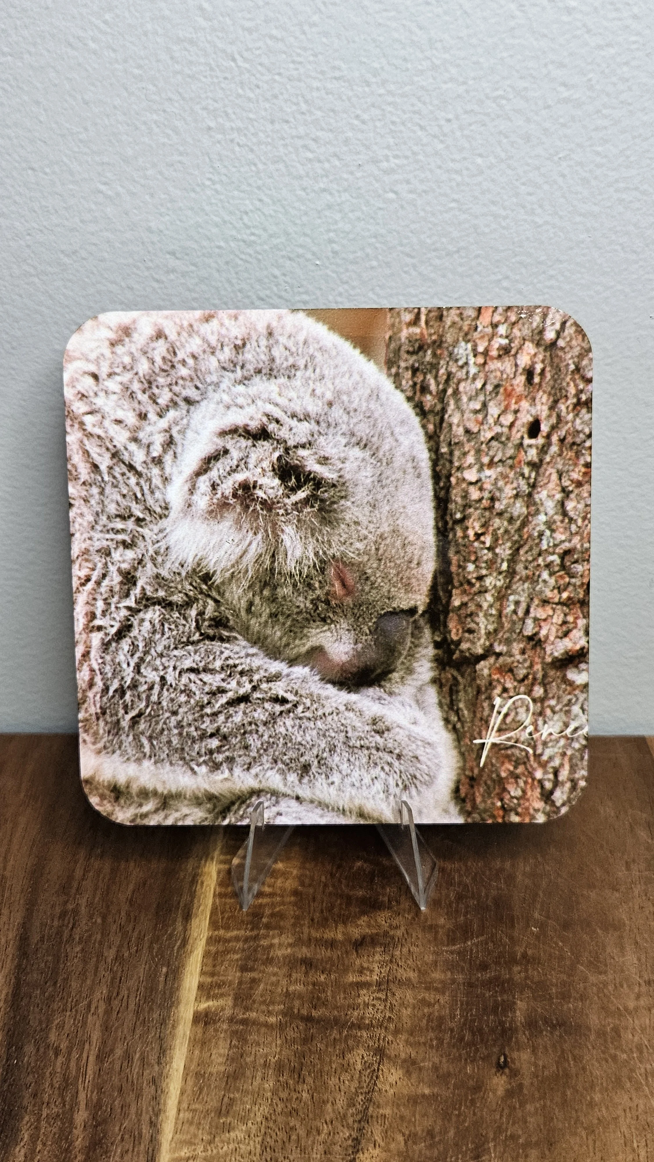 Sleepy Koala Coaster